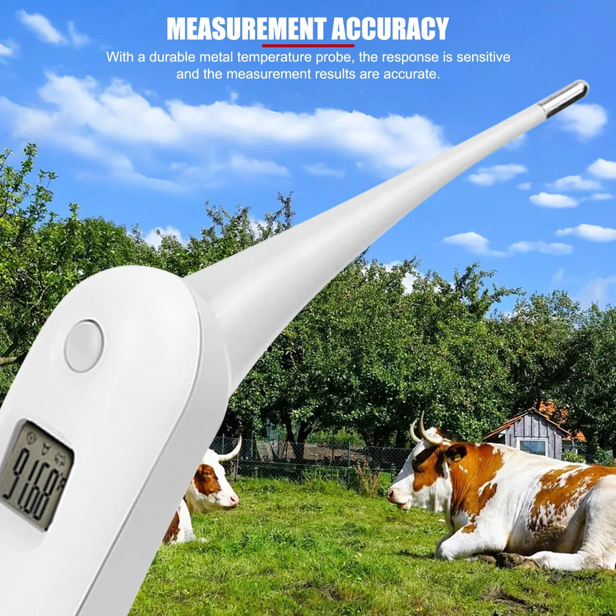 Animale Domestico Professionale Termometro Veterinario, termometro Veterinario Digitale Veloce, termometro per Animali Domestici per suini, bovini, Cani da Pastore, Cavallo (Senza Batteria)