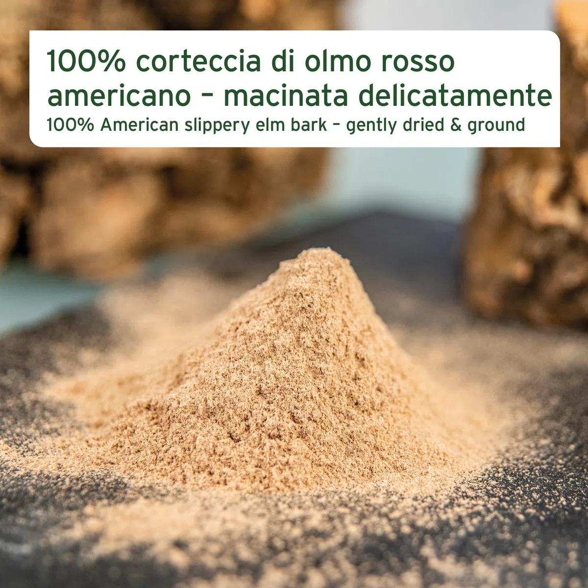 AniForte American Elm Bark Powder 100g - Slippery Elm Bark Powder Naturale per Cani e Gatti, Benessere del Tratto gastrointestinale, Supporto della Flora intestinale, apporto di vitamine