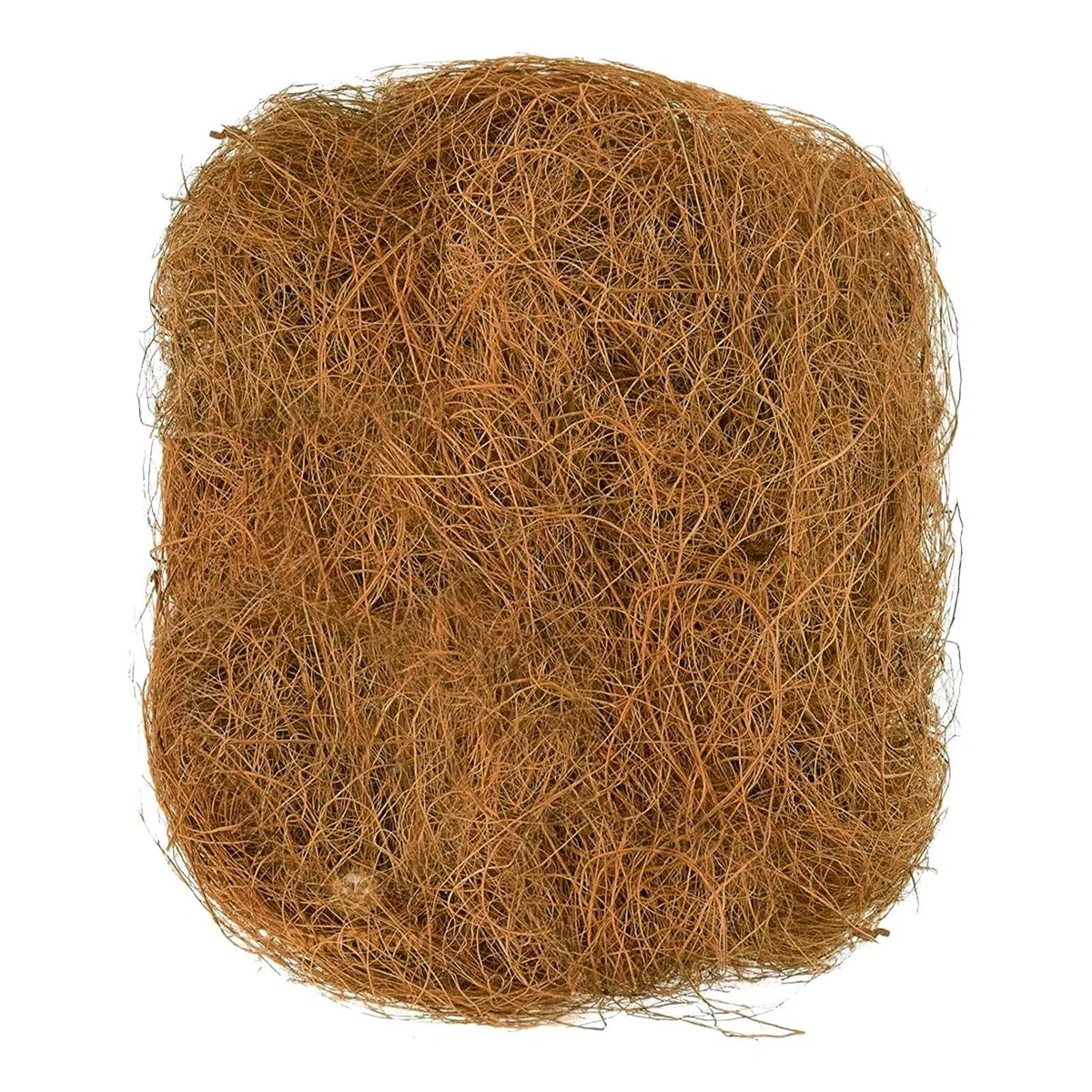 Fibre di cocco biologiche a fibra lunga – 500 g per animali uccelli , tartarughe, ragni – artigianato – decorazione floristica orchidee