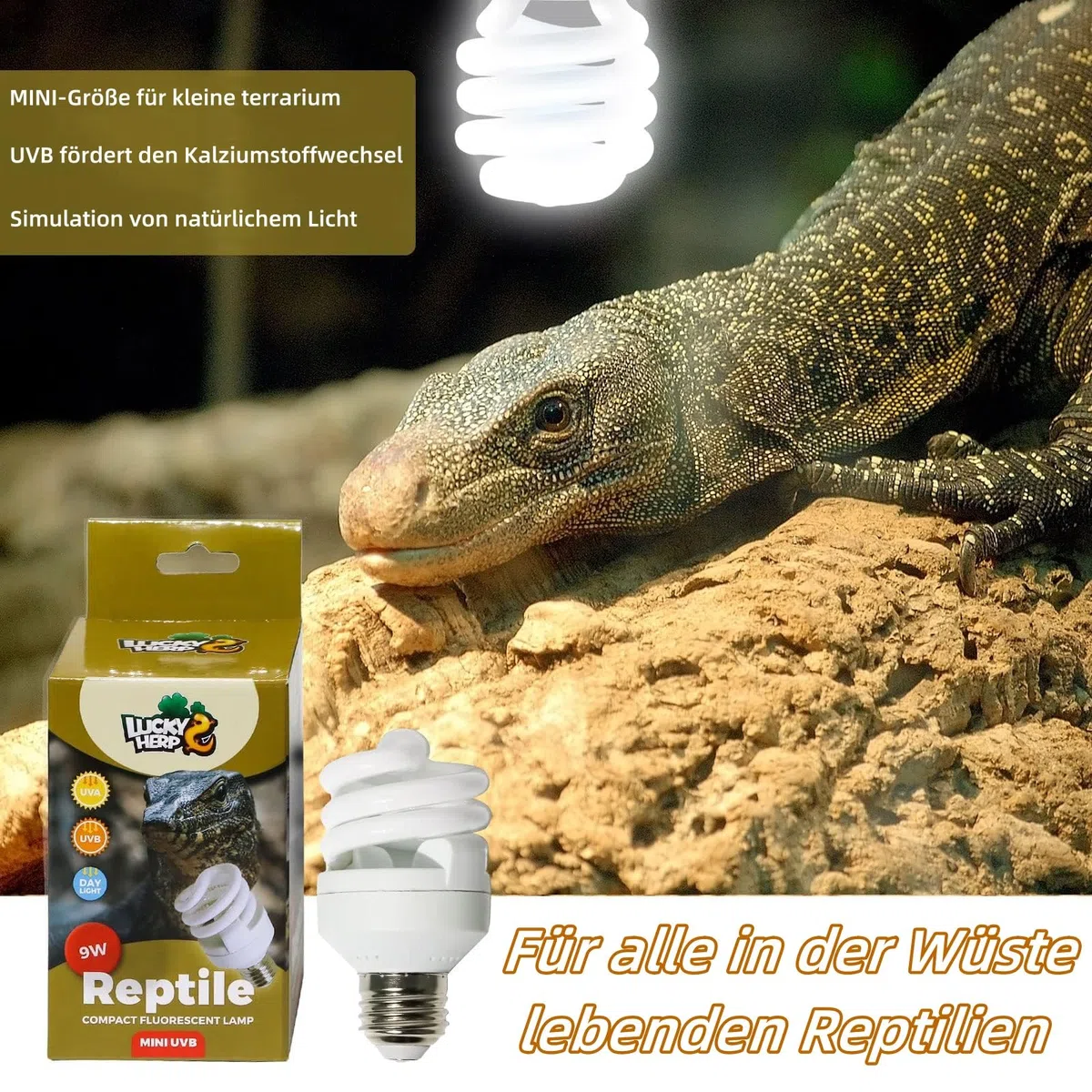 LUCKY HERP Lampadina UVA UVB per Rettili, Lampada UVB Tartaruga Terrestre 9W 10.0, MINI Terrarium Lampe per Rettili Draghi Barbuti