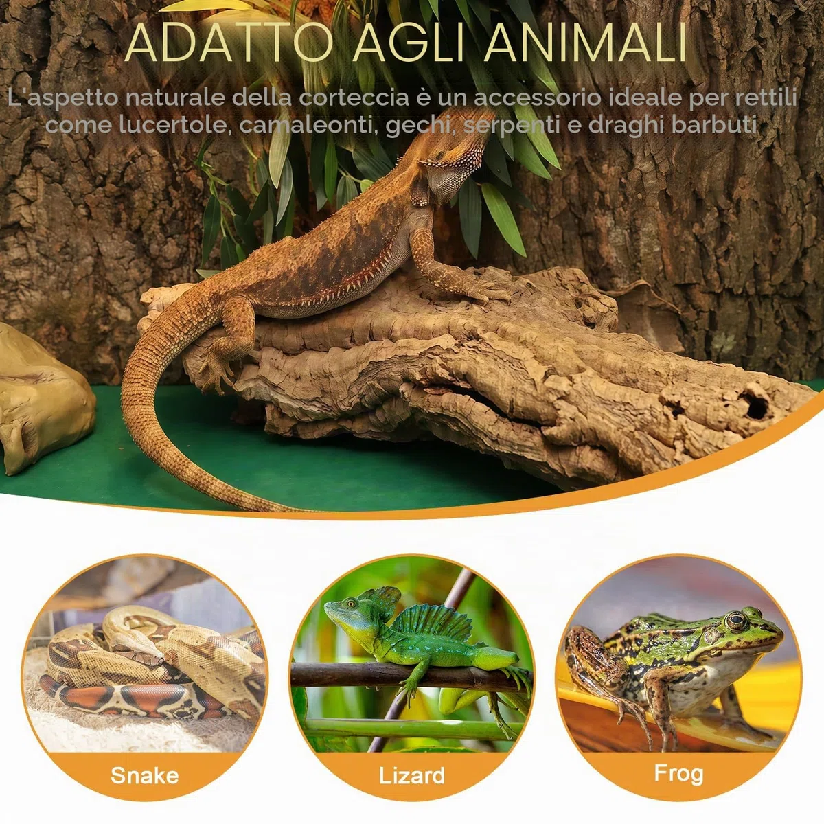 Sporgo Fondo in sughero per terrario: 3 pezzi con aspetto naturale di corteccia d'albero, tappetino da arrampicata per rettili, sfondo in corteccia d'albero per acquario, decorazione murale, per