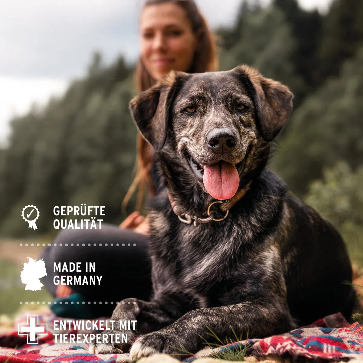AniForte Verme Erba W-Liquid Gocce Liquido – alternativa naturale per cani, gatti, animali domestici, supporta e armonizza lo stomaco dopo infestazioni da vermi, prodotto in Germania, 50 ml