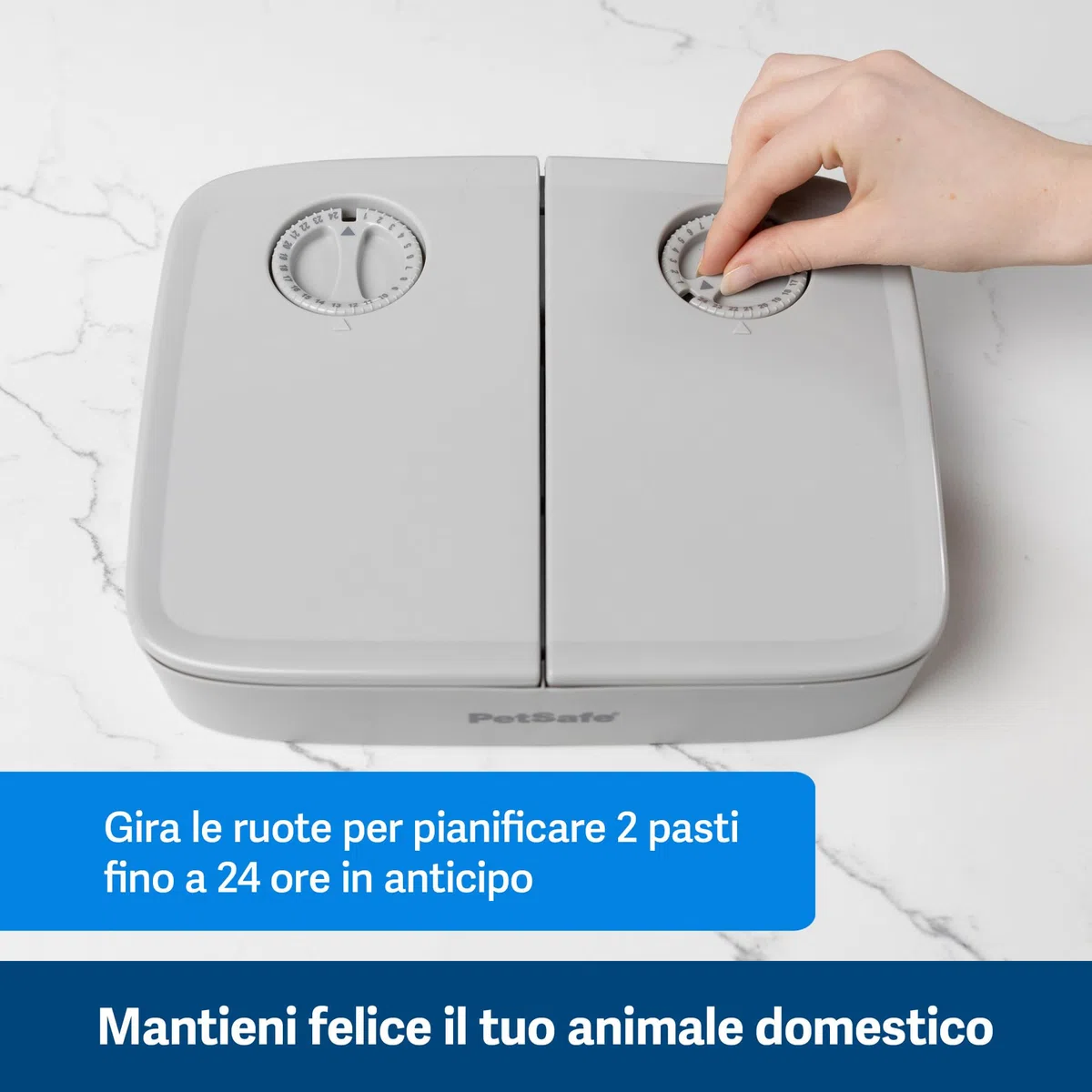 PetSafe Distributore automatico di cibo 2 pasti, design antimanomissione, contiene cibo secco per cani e gatti
