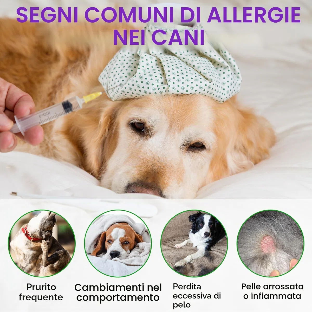 Allergie Relief Dog Treats,150 Pezzi Prurito per la Pelle del Cane Che Mastica, Smetti di Prurito, Leccare, Graffiare, Allergie Stagionali, per Tutte Le Razze e Dimensioni di Cani,Anatra