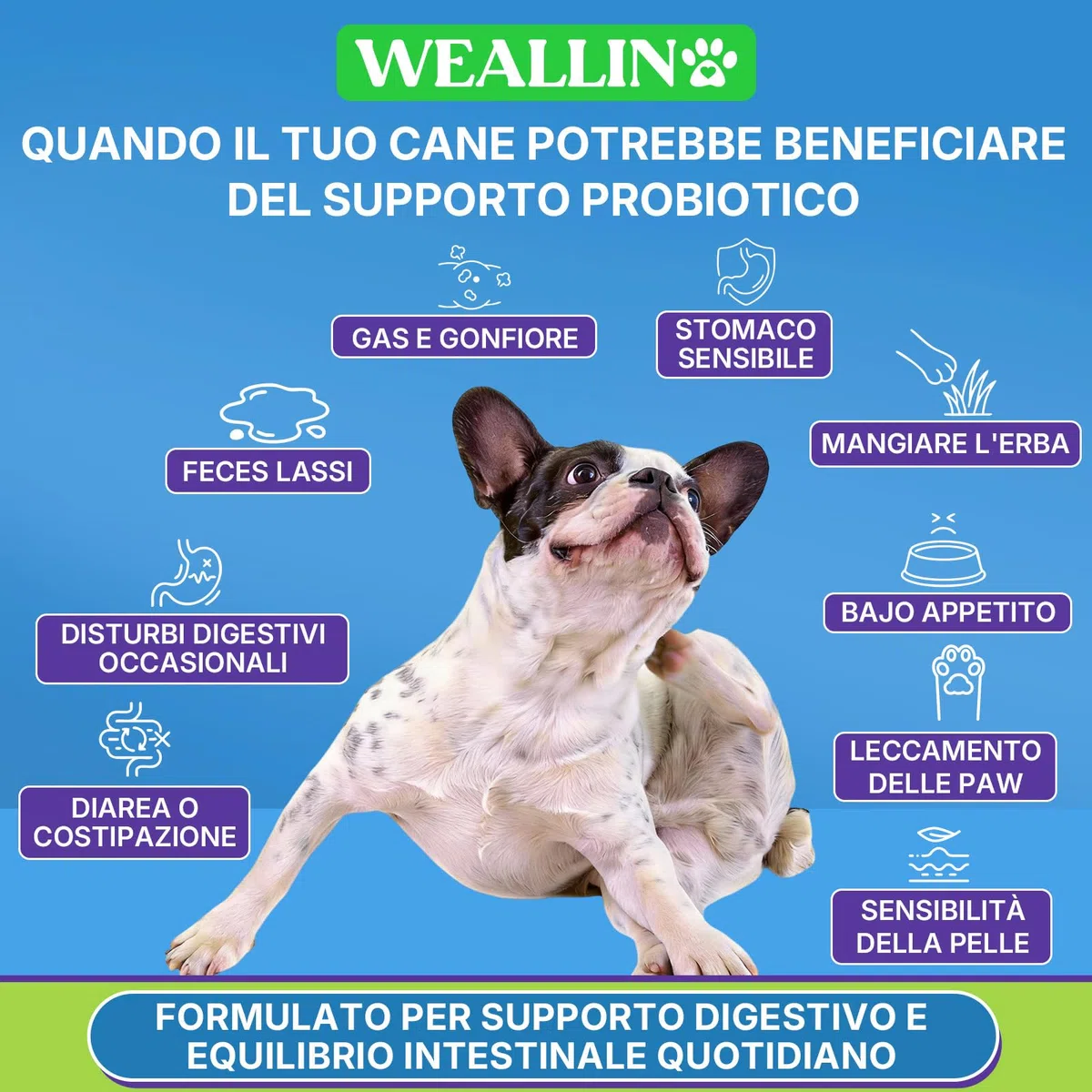 Probiotici per Cani, Prebiotici per la Salute Intestinale–Supporta la Salute Digestiva e l’Assorbimento dei Nutrienti–200 Bocconcini Morbidi che Supportano la Salute della Pelle e la Salute Generale