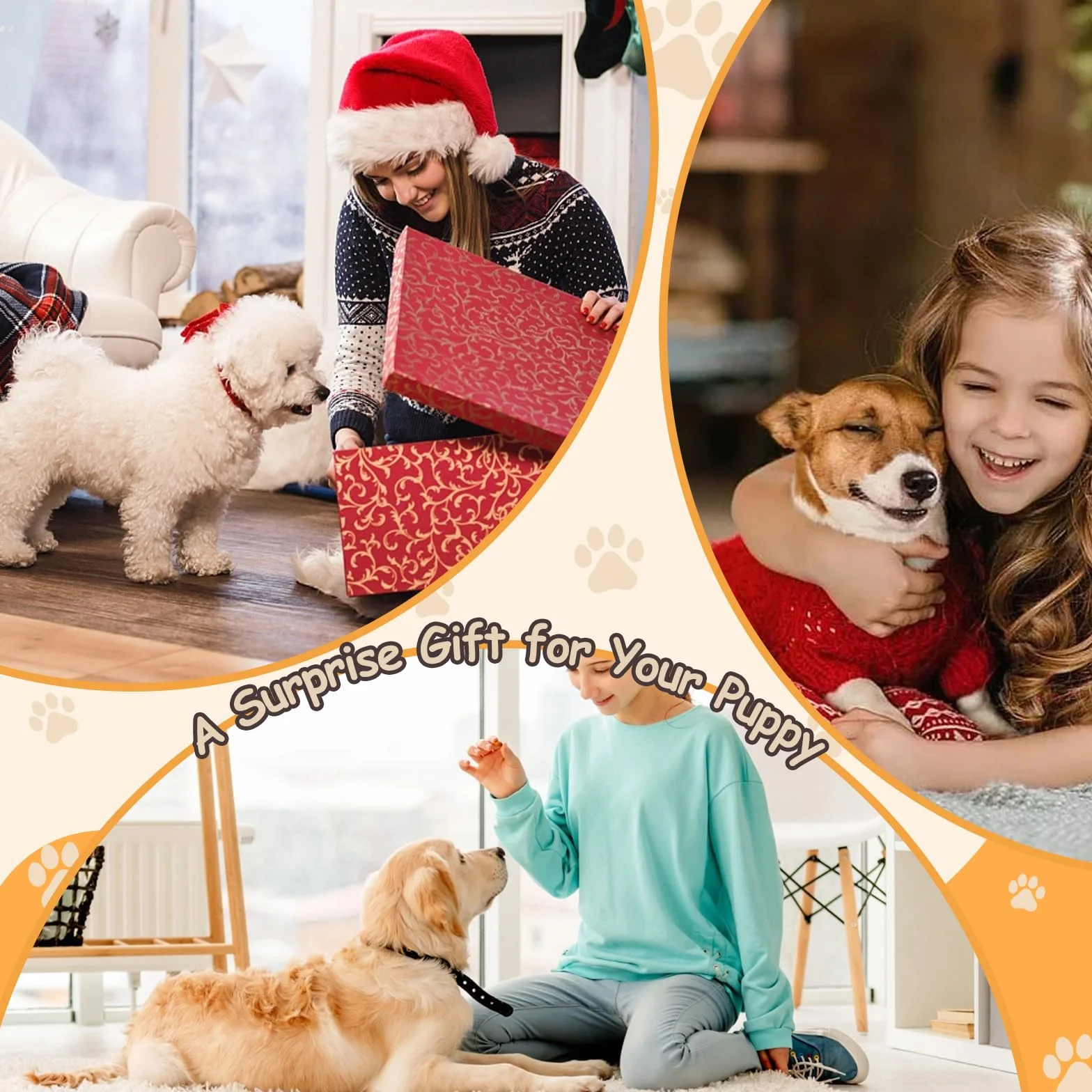 Levigatrice per Artigli per Cani Con Scatola per Snack e Contenitore, Piastra per Tiragraffi per Unghie Senza Stress, Tavola di Carta Vetrata, Scratch Board