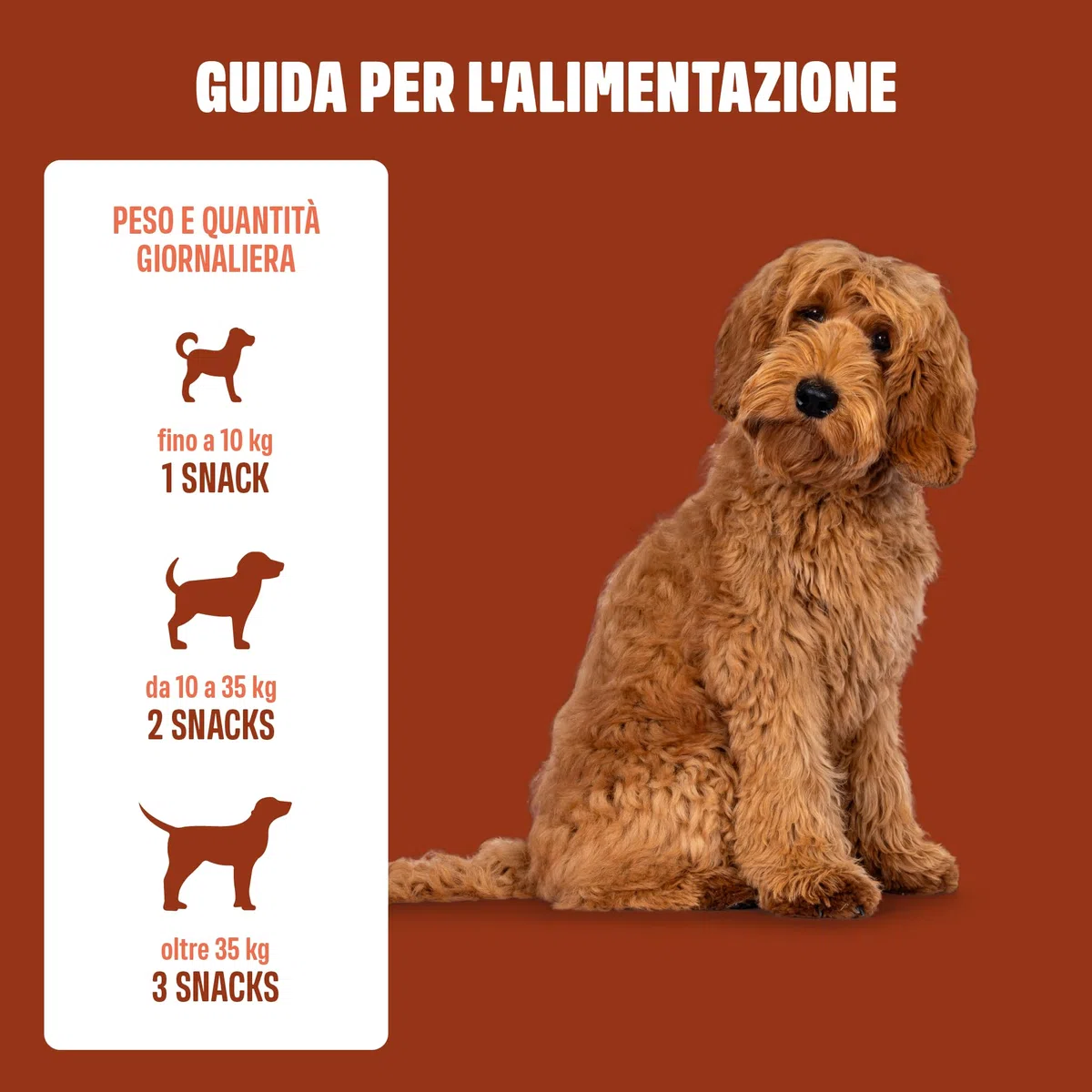 ivvi Anal Gland - Snack per supportare la Salute delle ghiandole Anali dei Cani. Contiene Zucca, psyllium, Lino, tarassaco, ortica e prebiotici. 60 Snack (270g) a Base di Burro di Arachidi