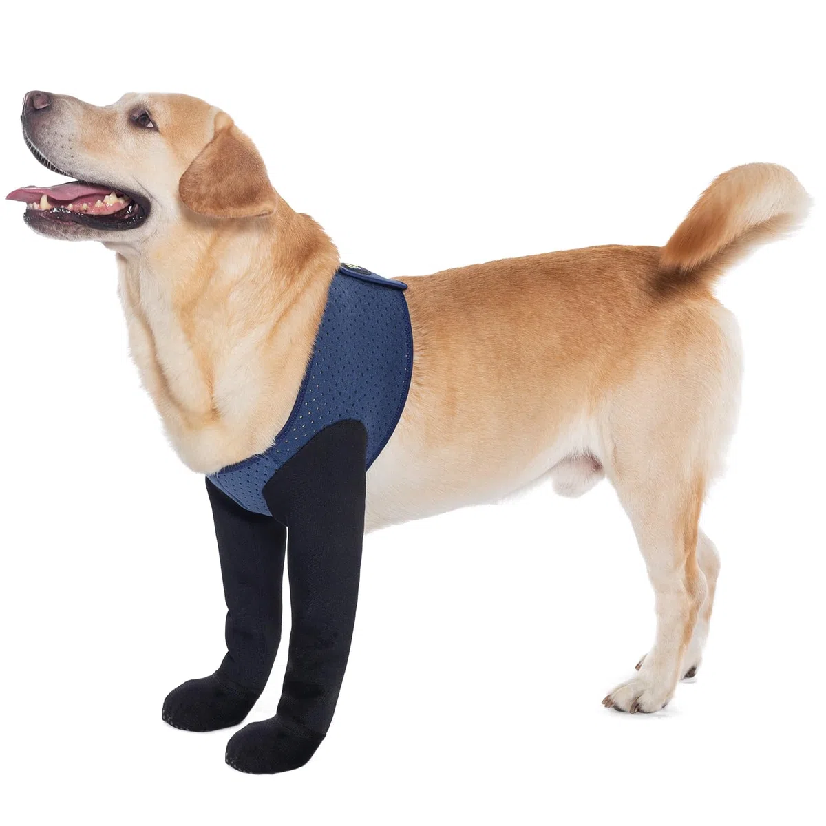 COODEO Calzini Anti-licking per Zampe di Cane, Protettori con Suolo Antiscivolo per Ferite, Stivali Impermeabili Anti-licking e Protezione Post-Operatoria (Blu, M)