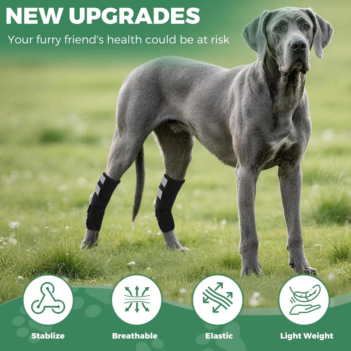 OHCOZZY Ginocchiera per Cani 2 Pezzi con Cinturini Riflettenti，Anti-Leccamento Tutore per Zampe Posteriori del Cane Che Fornisce Supporto Articolare per la Guarigione di Ferite e Distorsioni,S