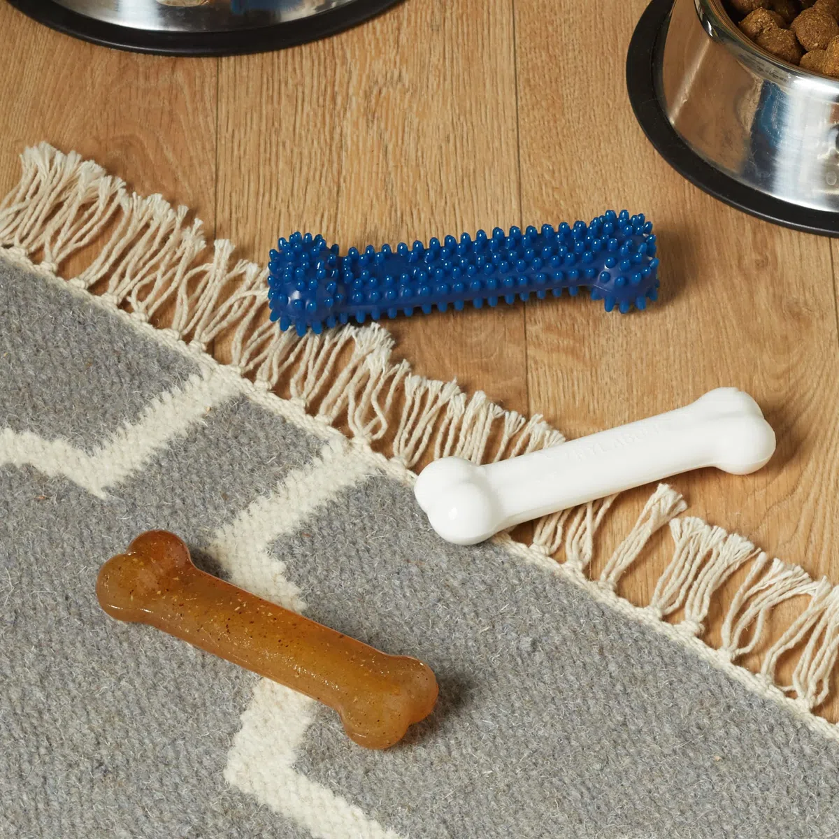 Nylabone Puppy starter kit