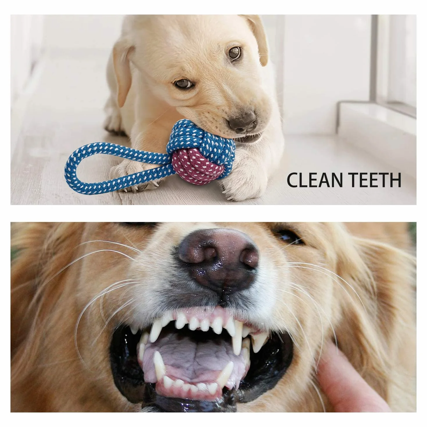 Toozey Giochi per Cani, Set di 7 Giocattoli per Cuccioli, Giocattoli Intelligenti da Masticare e Corda per Cani Durevole e Squillante, Cotone Naturale, Allevia Lo Stress e la Noia