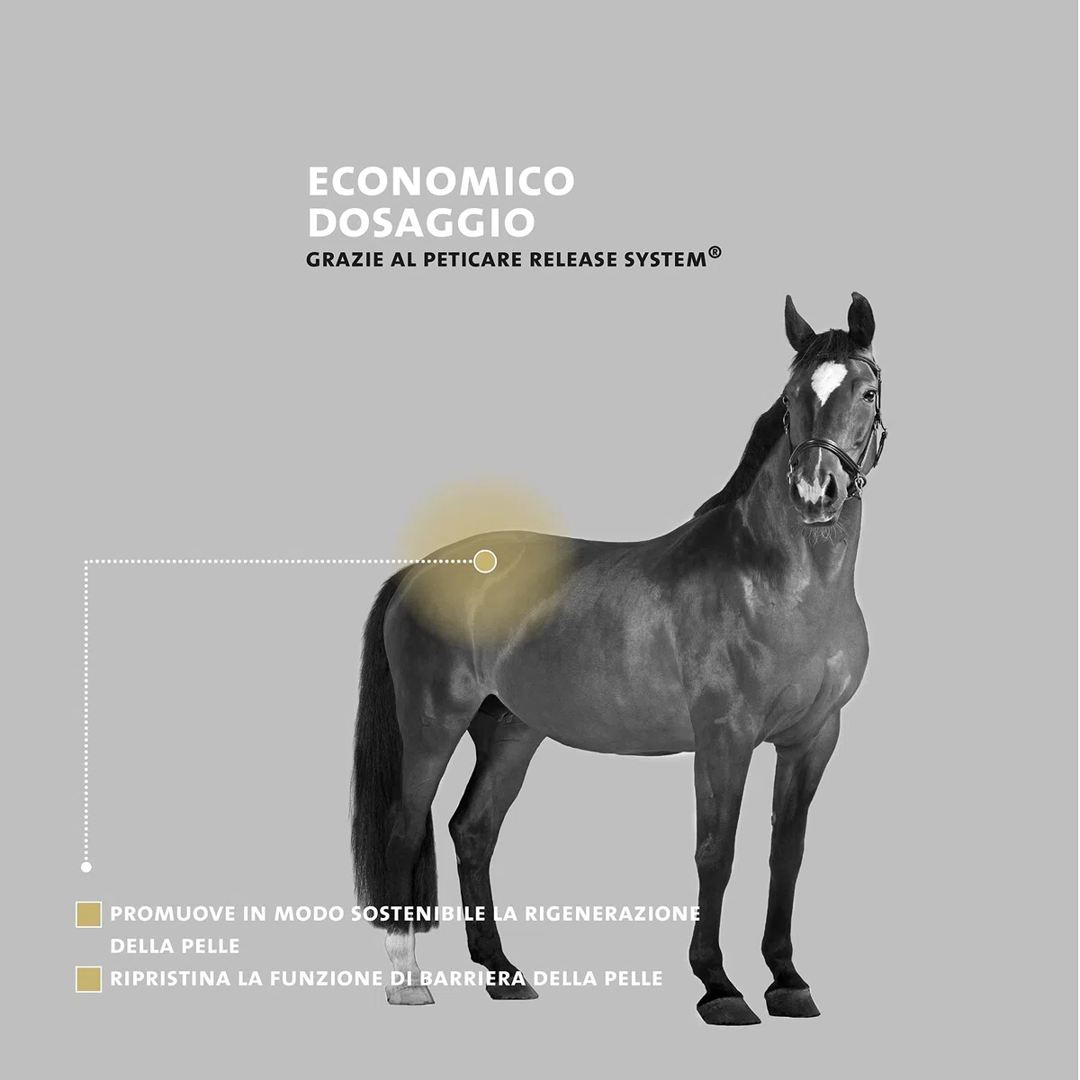 Peticare Unguento Croste e Ferite Cavalli – Scudo Sollievo Immediato per Ragadi – Senza Chimica – Accelera Rigenerazione – Pomata Cura Ferite