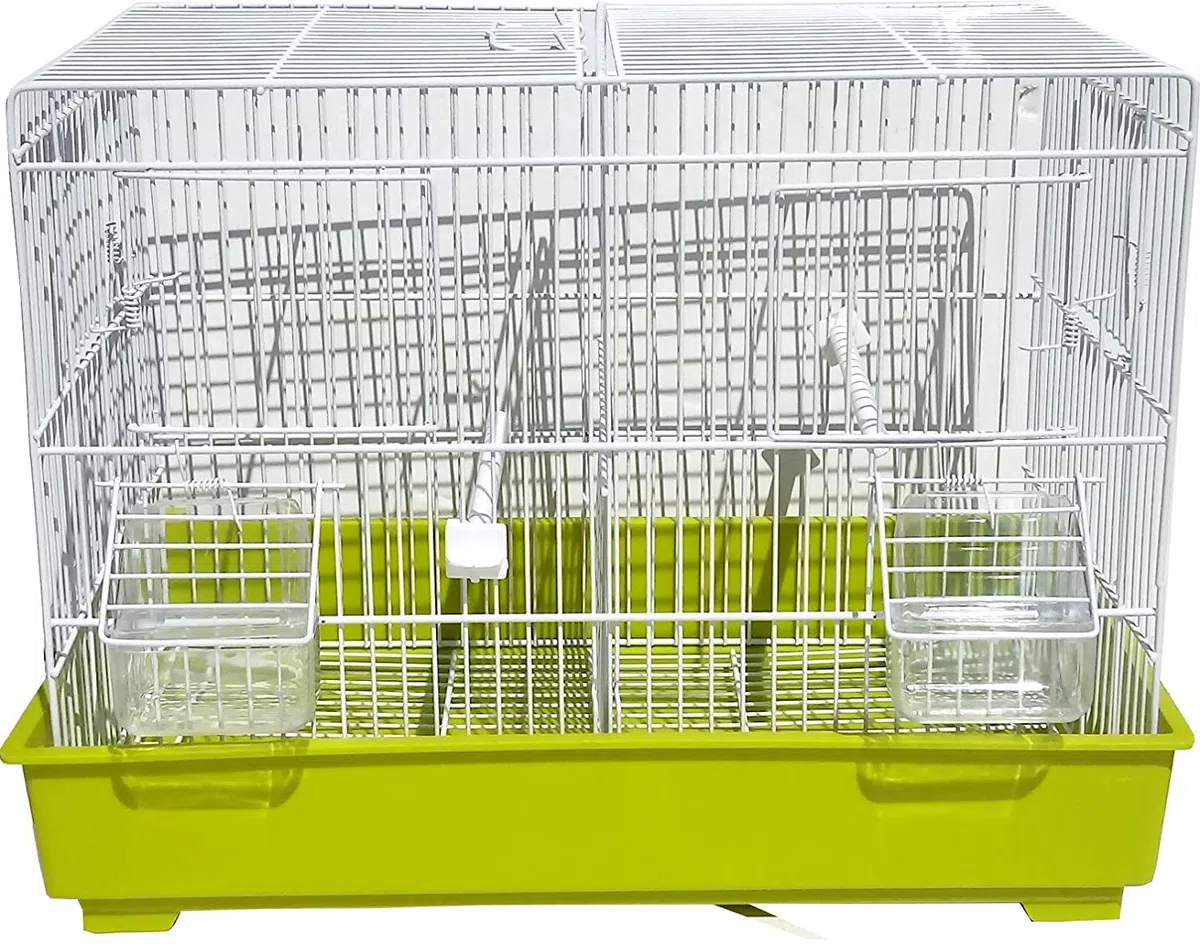 Domus Molinari Gabbia Cova per Uccelli Canarini Allevamento Riproduzione Cocorite Bengalini in Metallo Verniciato Bianco e Fondo in Plastica 44 x 26 x 33 cm