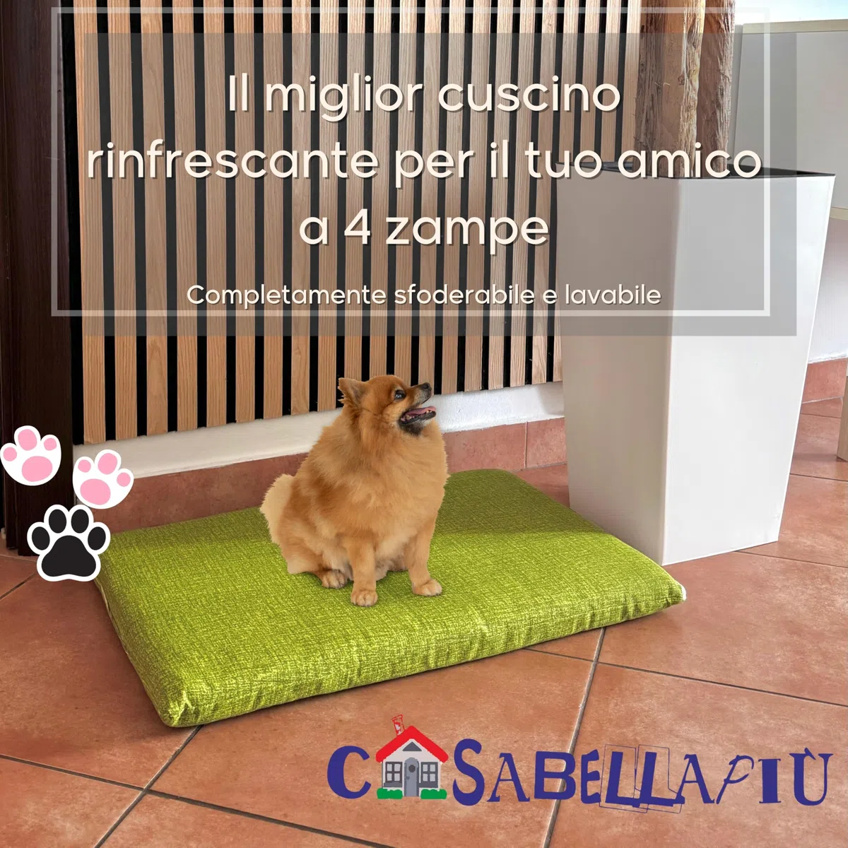 CASABELLAPIU Cuscino Per Cani, Lettino Per Cuccia Cani o Gatti Completamente Sfoderabile e Lavabile, 100% Made In Italy (VERDE, 70x50 cm)
