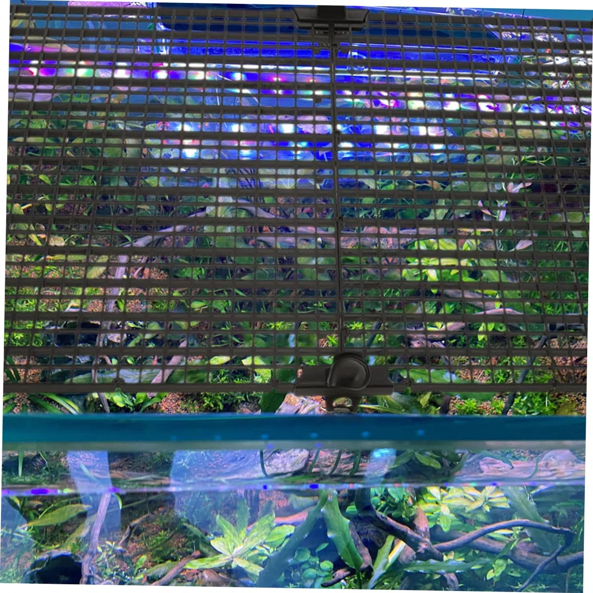 4 pannelli isolanti per acquario, divisori per acquario, pannelli a griglia in plastica nera per la gestione dei pesci