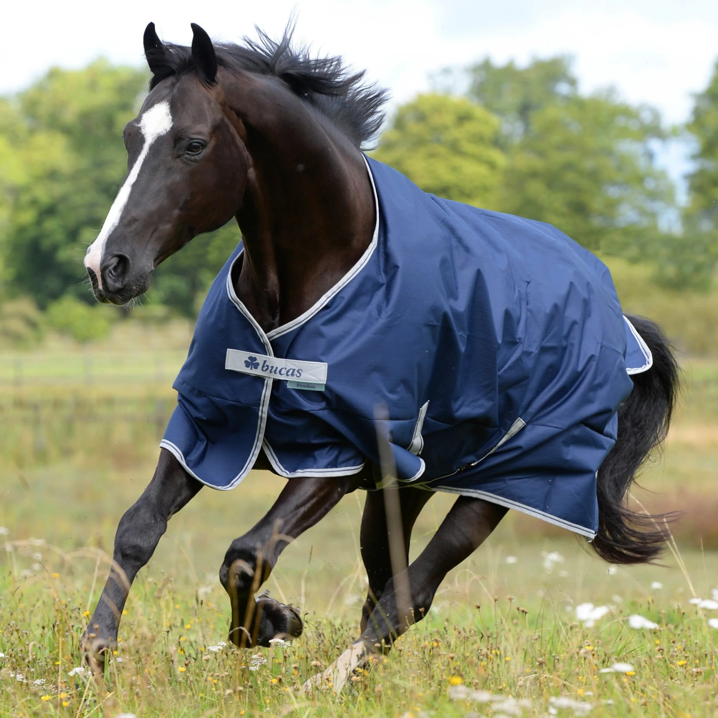 Bucas Freedom Turnout Pony Light, mantello per cavall – colore blu marino/argento, blu navy, 135