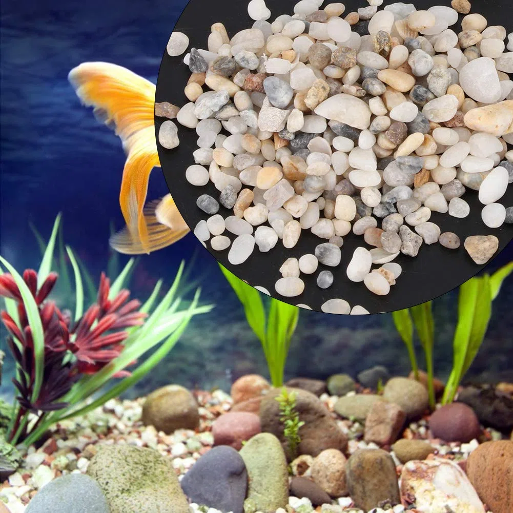 Jenngaoo Sabbia per Acquario, Pietra di Sabbia Naturale Ghiaia Decorazione Paesaggistica Serbatoio per Tartarughe Sabbia di Fondo per Acquario Vaso di Fiori Accessori per Riempitivi di Acqua Dolce