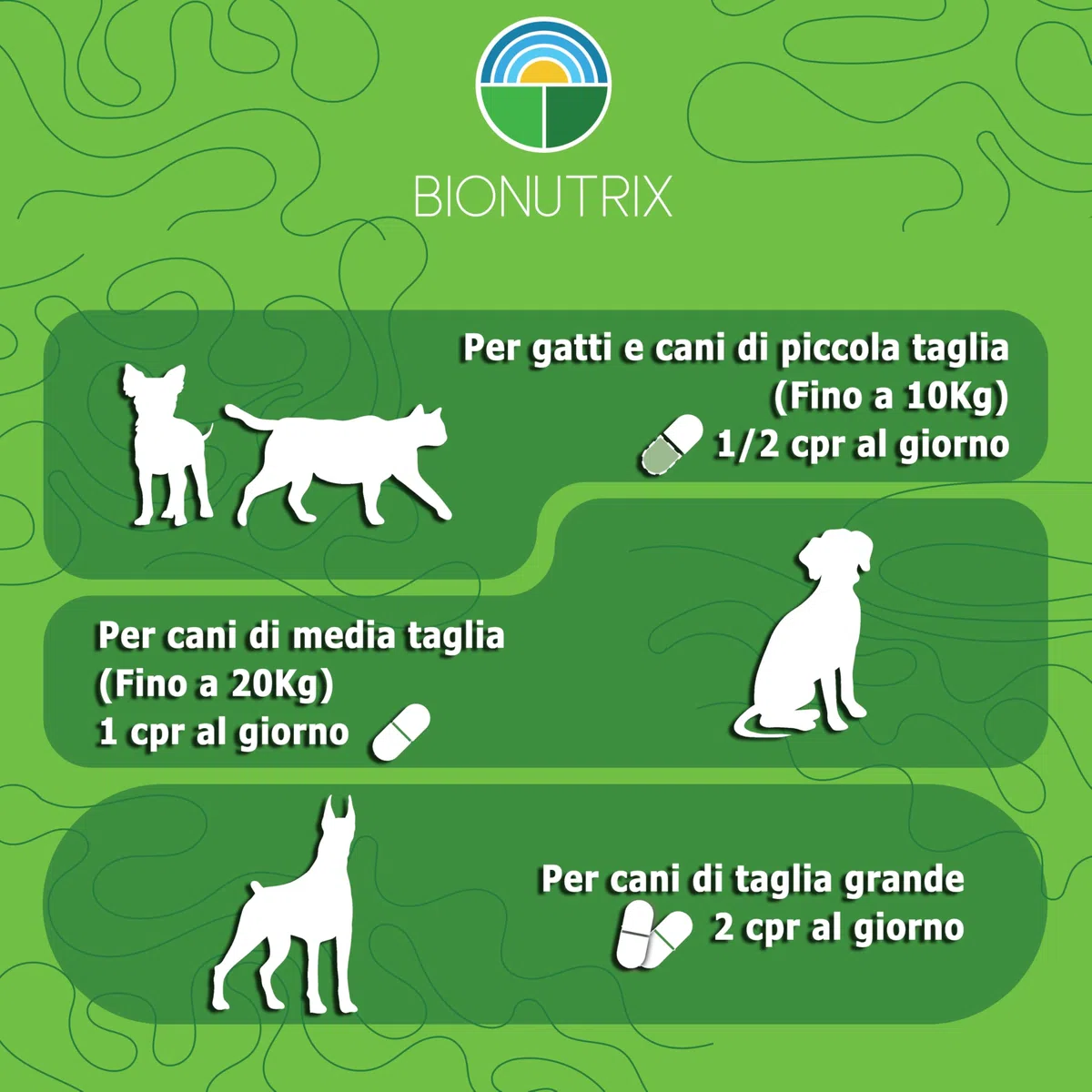 ARTICOLAX | Integratore Articolazioni Cane e Gatto | 120 CPR Appetibili | Alto Dosaggio | Antinfiammatorio | Glucosamina, Condroitina, Collagene, MSM, Boswellia e Artiglio del Diavolo | BioNutrix ®