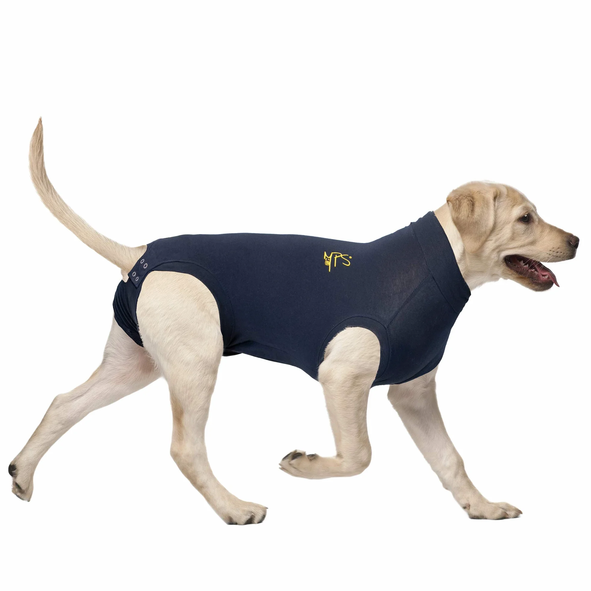 MPS Medical Pet Shirt, Cane, Blu, L