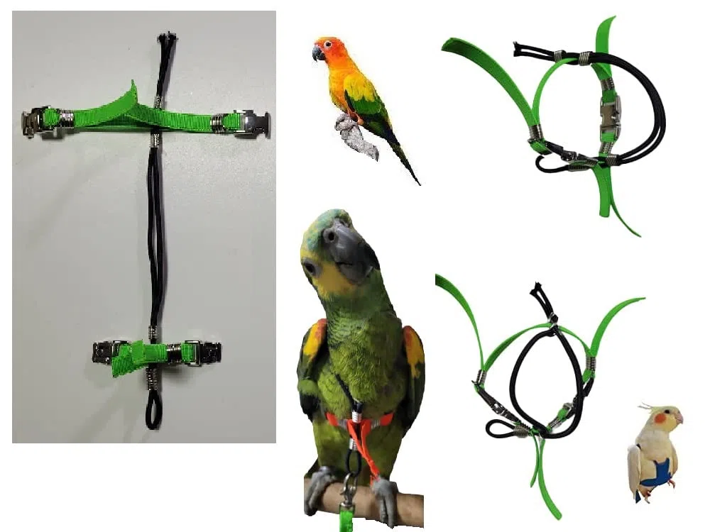 PETTORINA PAPPAGALLI PARROCCHETTO DAL COLLARE corda 3mm elastica nera al collo, fasce nastro 10mm, 2 attacchi,ACCIAIO SGANCIABILI REGOLABILI con GUINZAGLIO 1M xtutte le razze + amuleto