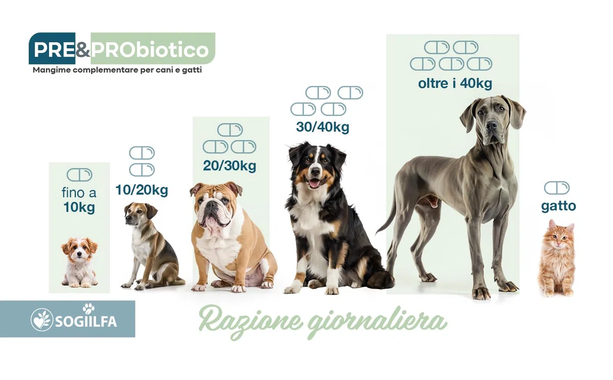 Fermenti lattici cani 120 pz probiotici per cani e gatti, probiotici per intestino con Enzimi digestivi vivi.Probiotico per cani e gatti naturale rilassante. Pastiglie cane per prurito e dermatite