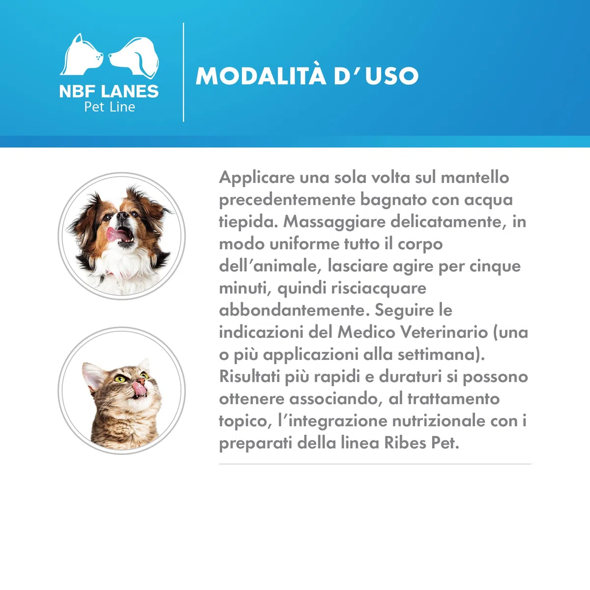 NBF Lanes | Ribes Pet Ultra Shampoo Balsamo Dermatologico Cane e Gatto 200 ml, Riduce il Rischio di Colonizzazione Batterica, ad Azione Detergente, Lenitiva e Protettiva, pH 6,5
