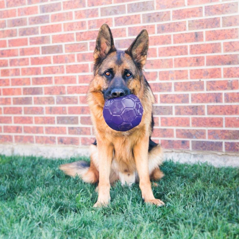 Kong Flex Ball per cani di taglia media/grande