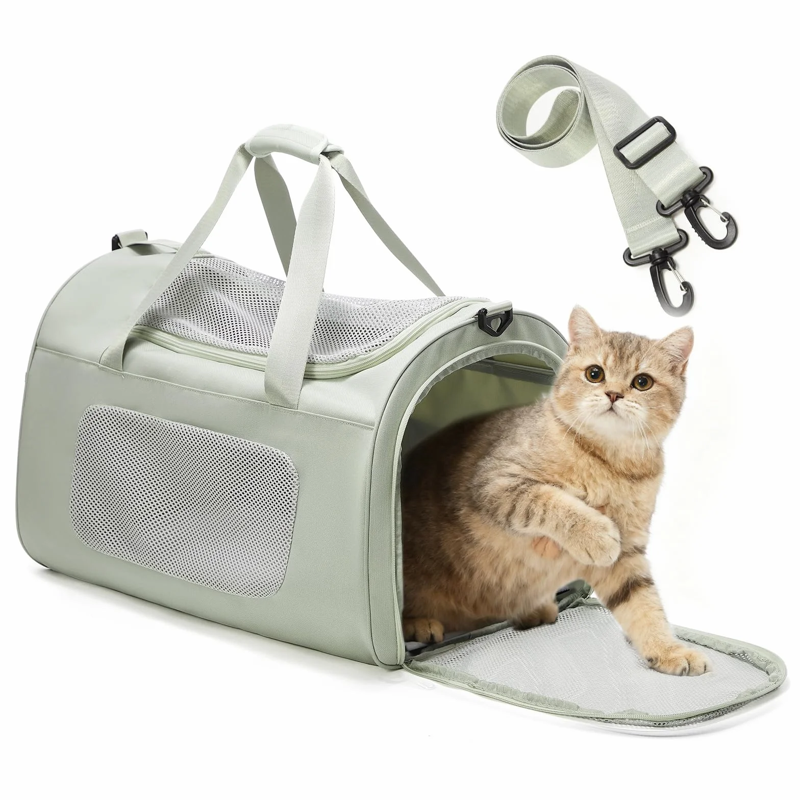 Trasportino per gatti di grandi dimensioni e cuccioli fino a 13 kg，Trasportino per Animali Portatile, pieghevole, per il trasporto di gatti e cani,verde