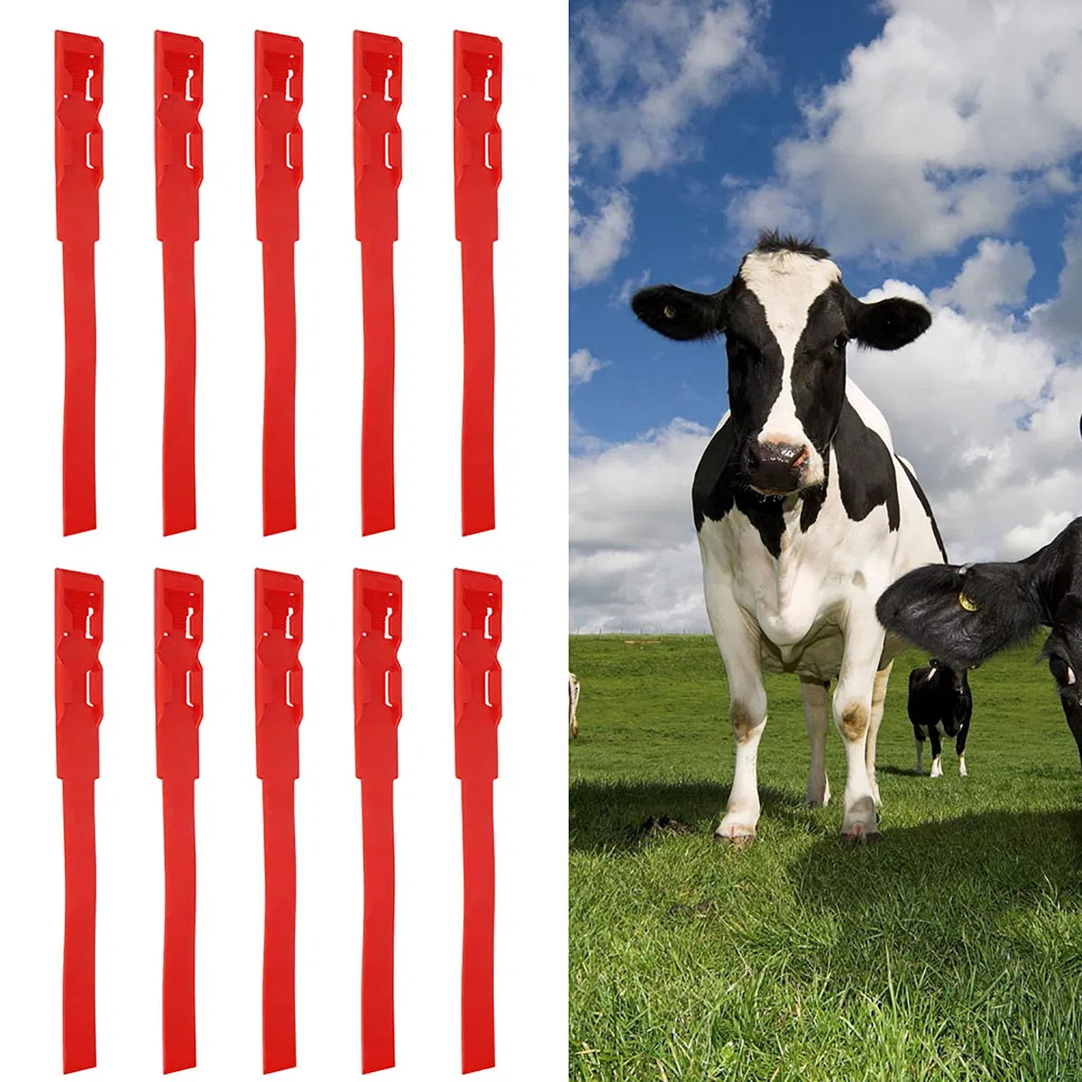 10 Fascette per Collari Identificativi per Identificazione di Mucche, Forniture per Marcatura di Bovini da Giardinaggio per Bestiame da Fattoria Rosso (rosso)