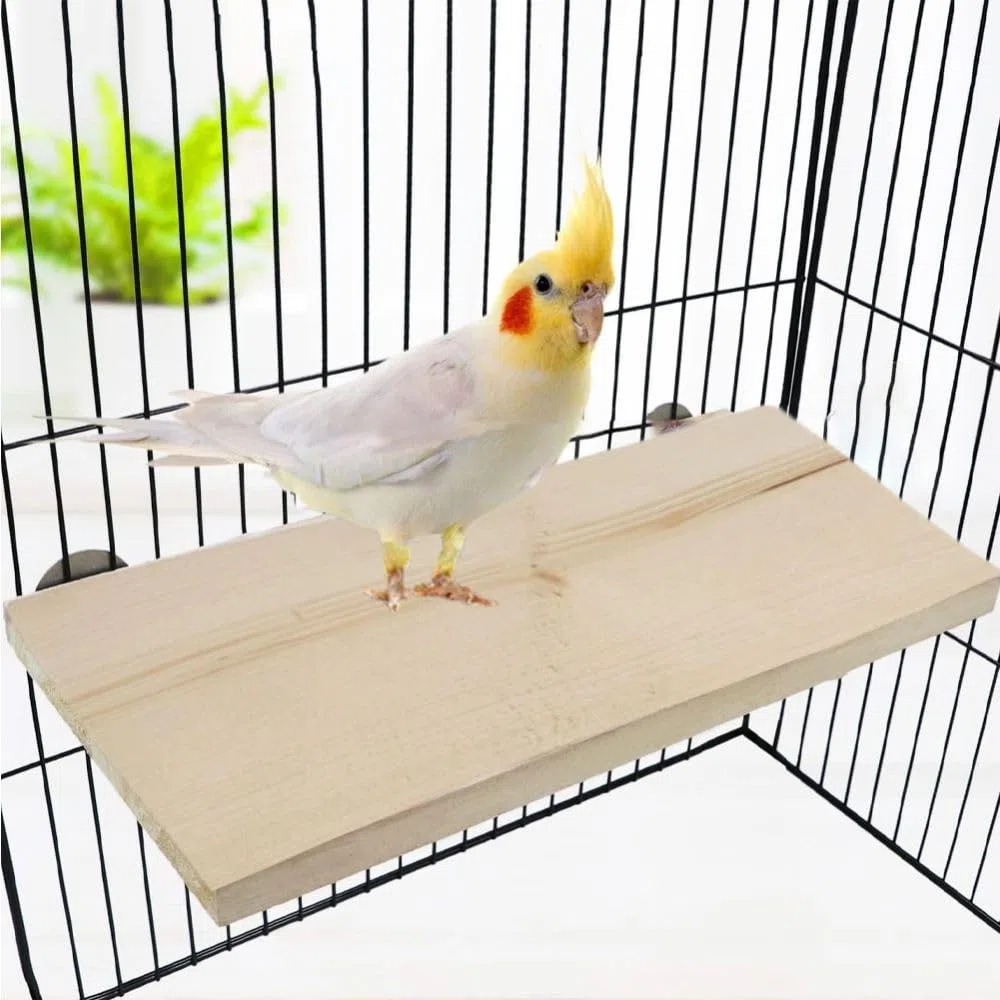 Piattaforma piatta in legno per uccelli, 2 pezzi, piattaforma per arrampicata per animali domestici, accessori per piccoli animali, parrocchetti, pappagalli, cincillà, criceti, ratti, topi e