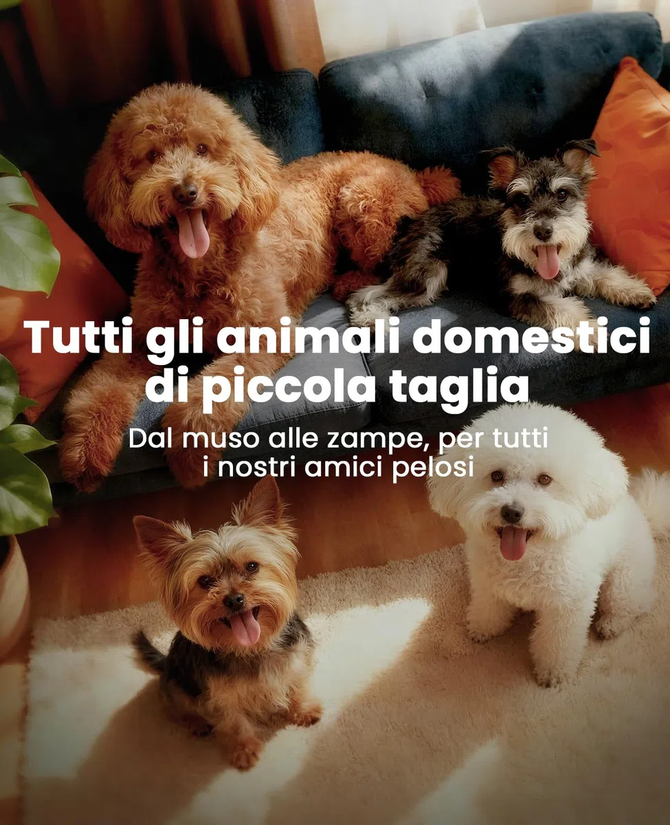 oneisall Tosatrice per cani Tosatrice a basso rumore Tosatrice per cani per gatti zampe, occhi, orecchie, viso, corpo (Bianco)