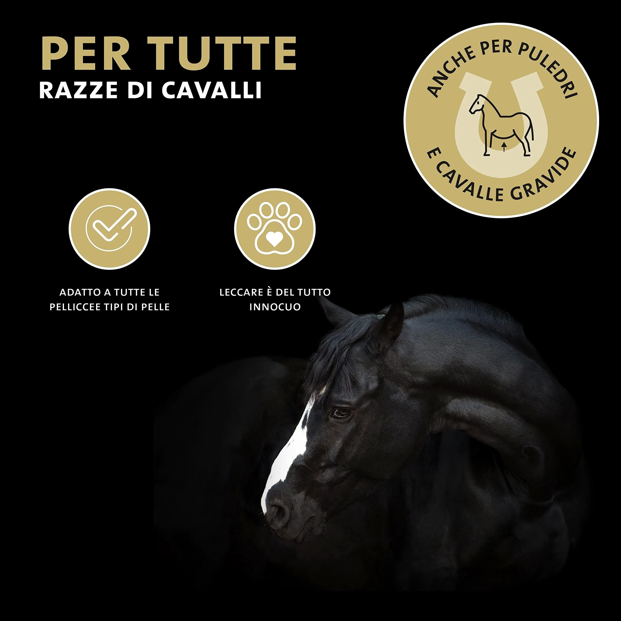 Peticare Unguento Croste e Ferite Cavalli – Scudo Sollievo Immediato per Ragadi – Senza Chimica – Accelera Rigenerazione – Pomata Cura Ferite