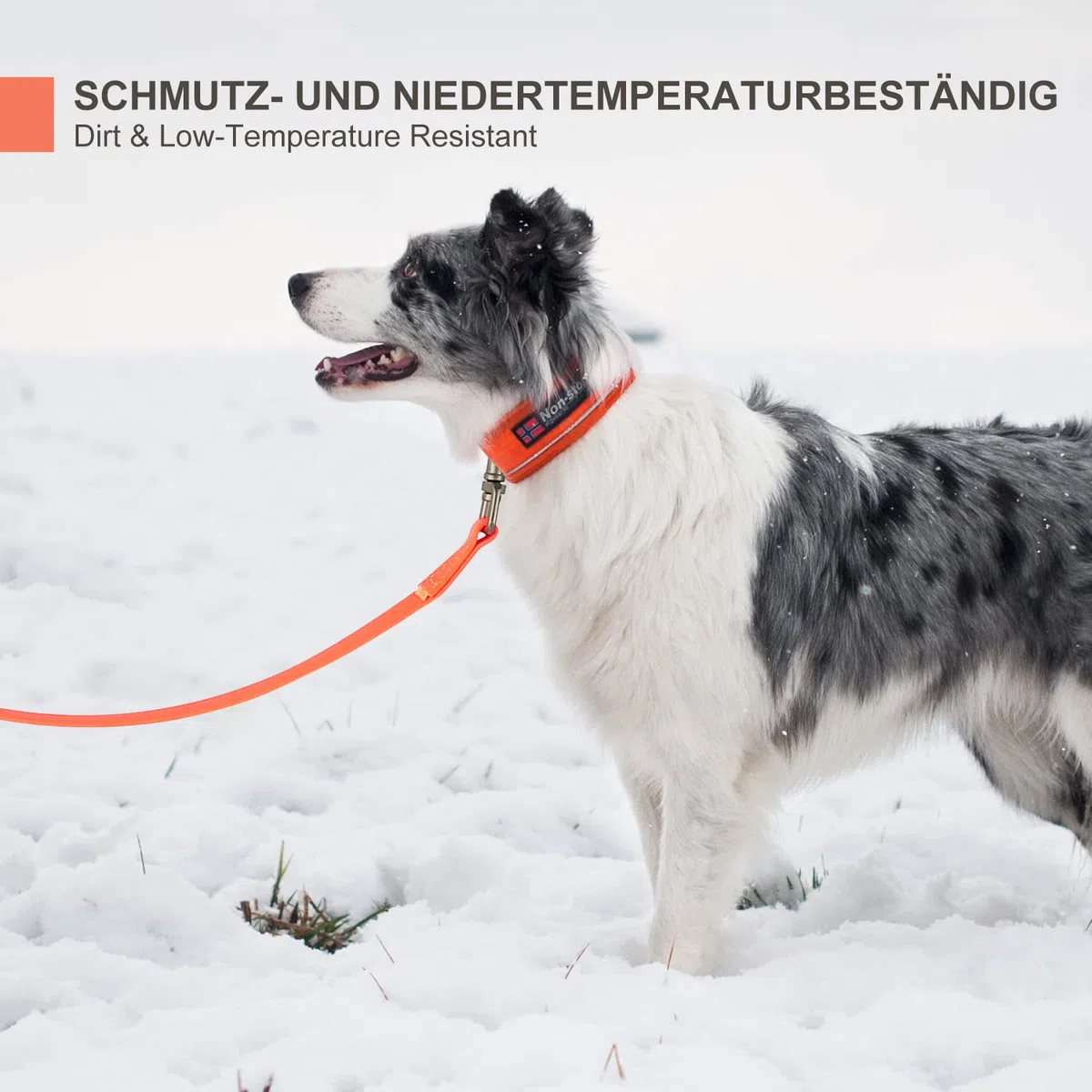 Toozey Guinzaglio da Addestramento Impermeabile per Cani, 5m/10m/15m/20m – Lunga, Robusta e Resistente con Maniglia e Moschettone, Perfetta per Cani di Taglia Piccola e Grande, Arancione Neon