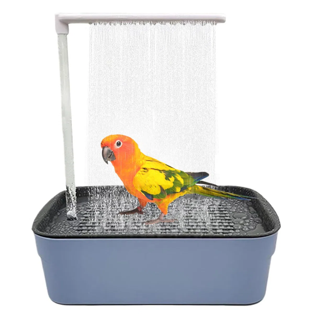 Vasca da Bagno per Uccelli,Vasca da Bagno Automatica per Pappagalli,Vasca per Uccelli,Vasca da Bagno per Pappagalli,Automatico Uccello Vasca da Bagno,per Pappagallo