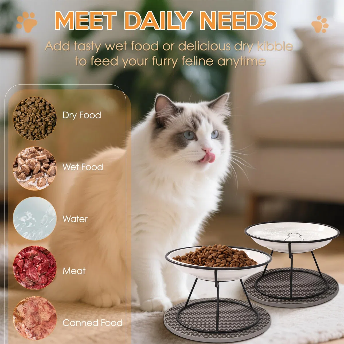 FoiiLiio Ciotole per Gatti Rialzate 2 Pezzi Ciotola per Gatti Ceramica Rialzata 10CM con Supporto e Pad Antiscivolo Porta, per Cibo e Acqua
