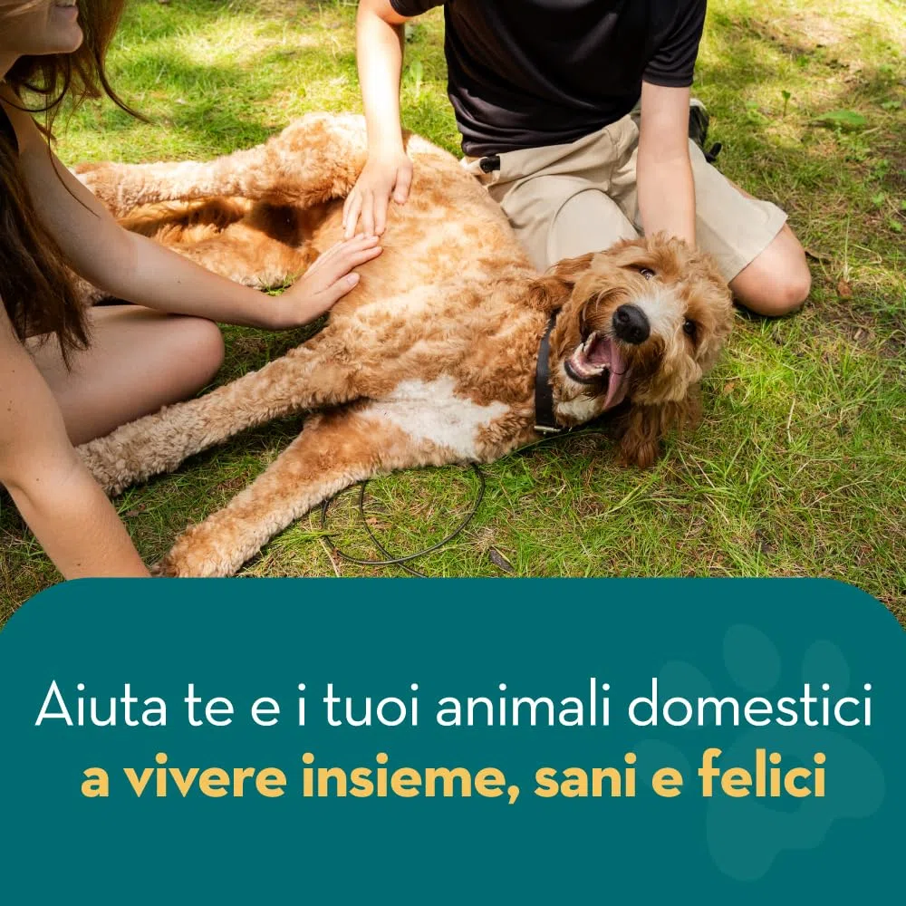 All Natural Shampoo Antipulci | Citronella | 500ml | Il Miglior Trattamento per Cani e Gatti | Formula Sicura ed Efficace | Elimina e Previeni Pulci, Zecche e Pidocchi