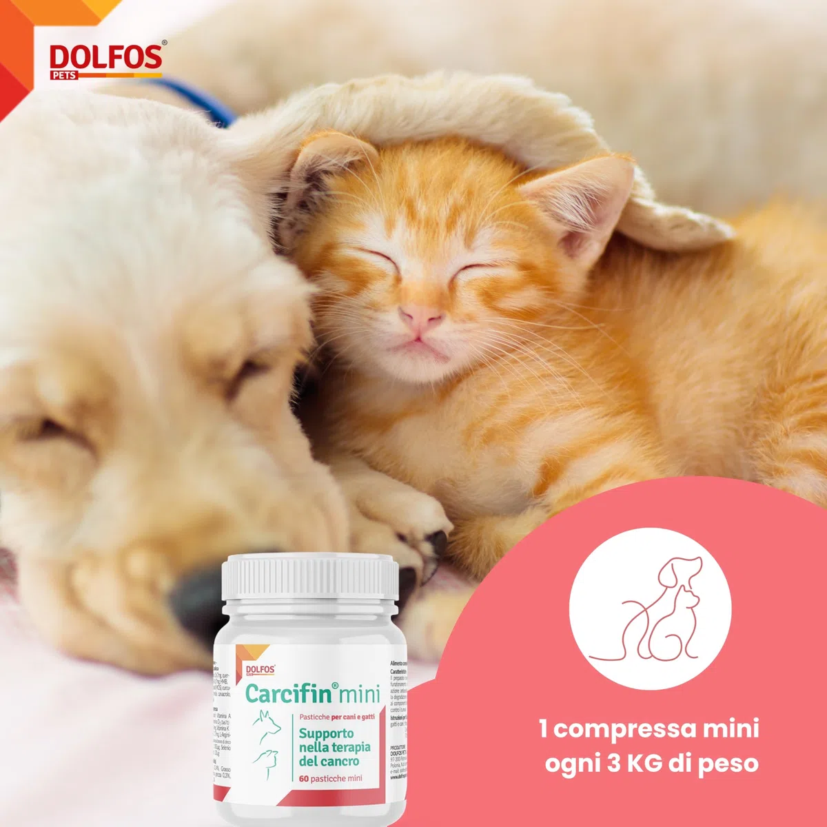Dolfos Carcifin 60 Mini Compresse, Integratori per Cani Supporto Oncologico con Curcumina e Quercetina, Integratori per Cani Terapia Antitumorale e Sistema Immunitario