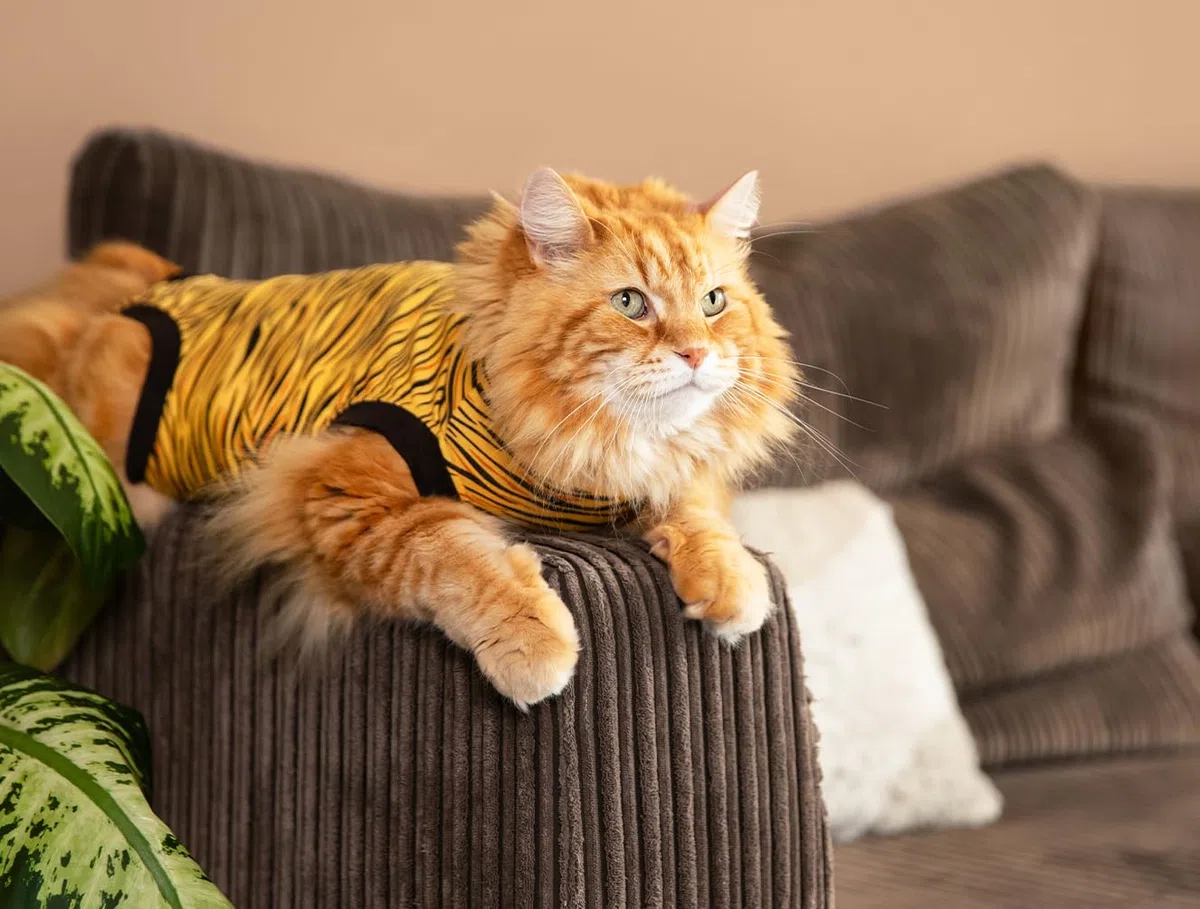 Suitical Recovery Suit for Cats – Tiger Print. Post Operative cat Cone Alternative. (X-Small (Neck to Tail: 15.7-17.7" / 40-45 cm), Tiger Print)