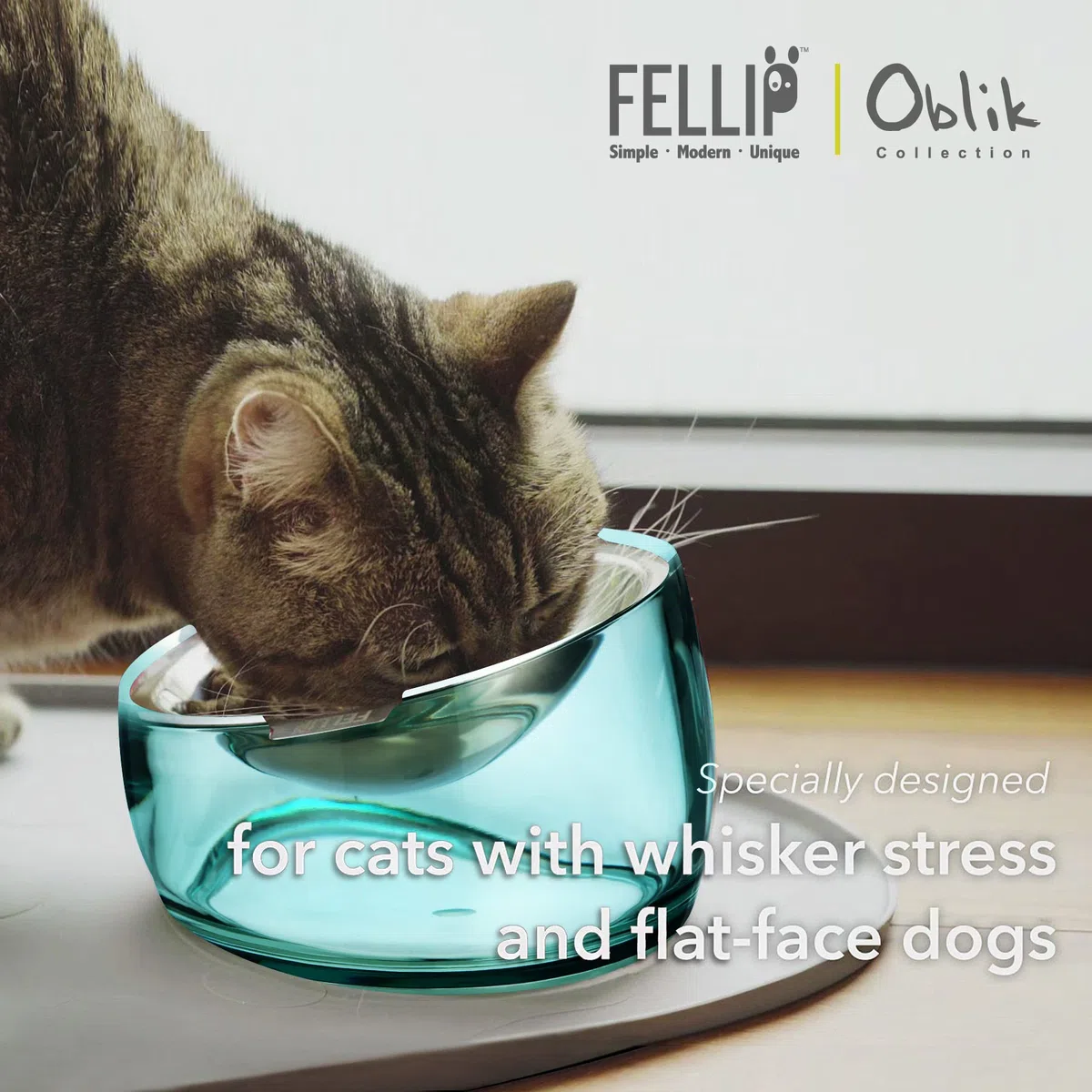 Felli Ciotola per cibo per gatti rialzata in acciaio inox, inclinata, anti-vomito, a prova di fuoriuscite, piatto inclinato, piatto in metallo acrilico per cuccioli (0,5 tazze, classico)