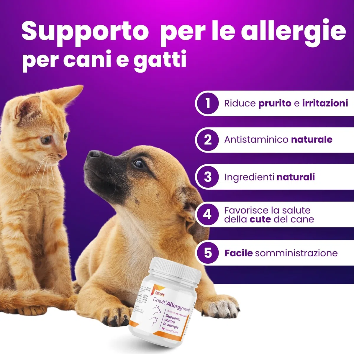 Dolvit Allergy Mini 60 Compresse - Integratori per Cani Naturali - Sollievo da Prurito Cane e Allergie Stagionali - Contrasta Dermatite Cane con formula Sicura e Naturale