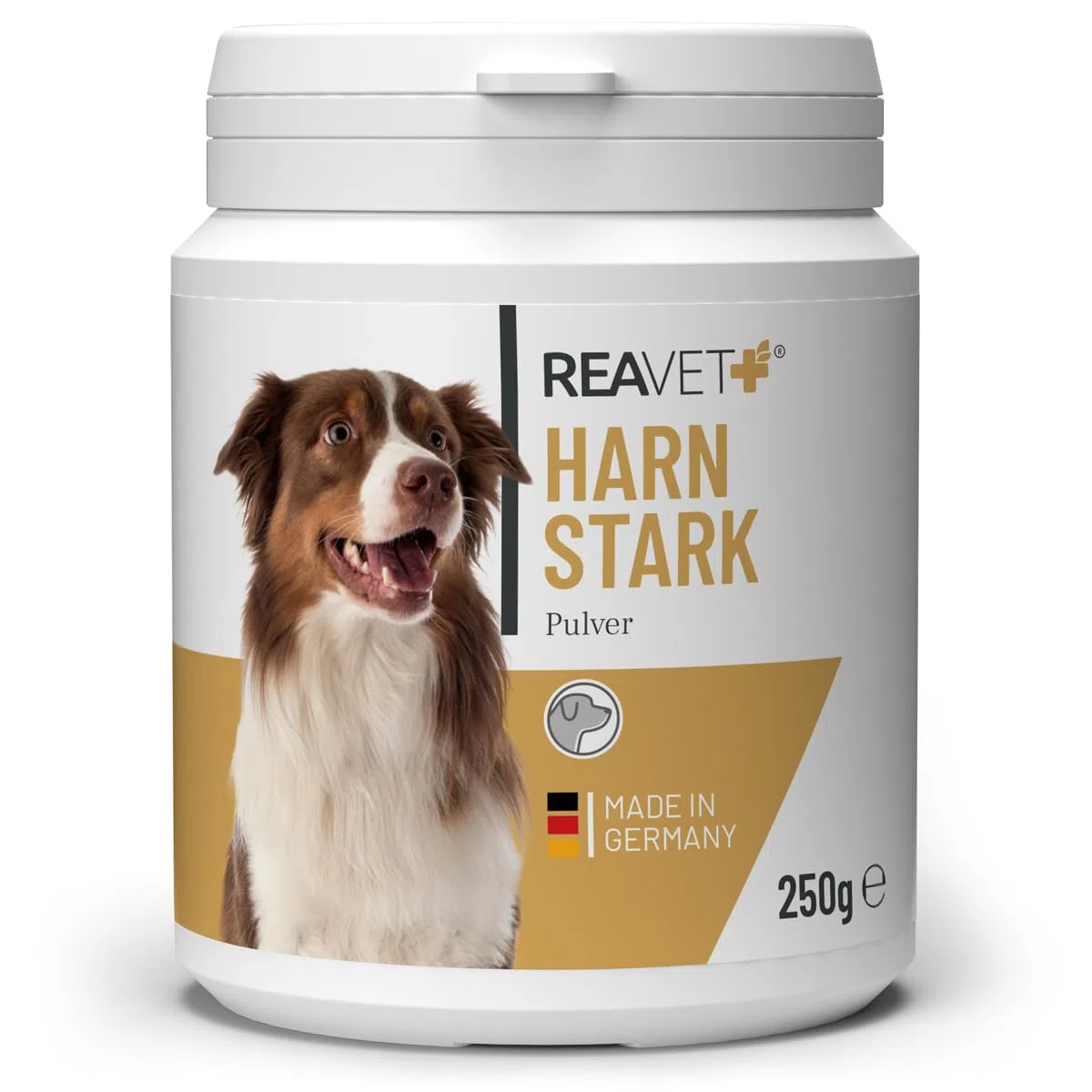 ReaVET Forte urinario per cani, 250 g, supporta la funzione vescica in caso di debolezza della vescica, proteine dei semi di zucca, semi di zucca per cani macinati – vescica, prostata e vie urinarie,