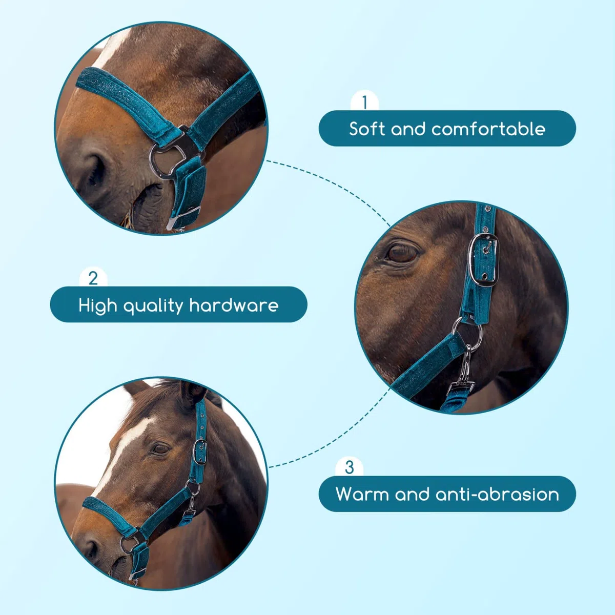 Nobleza - Cavezza per Cavallo, capezza Imbottita per Naso e Collo, per Allenamento equestre(Colore Verde)