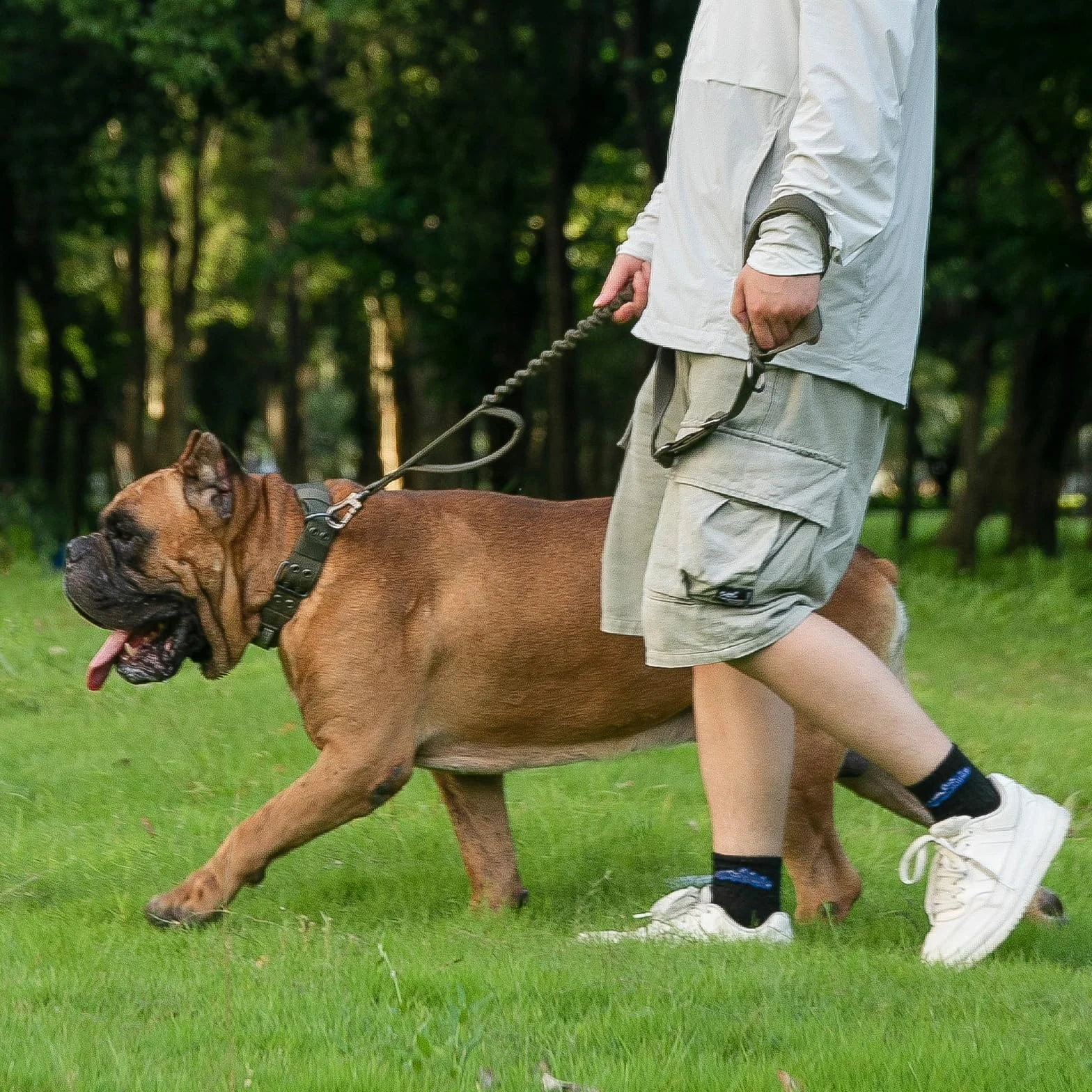 EXCELLENT ELITE SPANKER Guinzaglio tattico per cani 5-6FT Regolabile senza tirare Guinzaglio militare per cani Corda elastica con 2 impugnature di controllo imbottite(BLK)