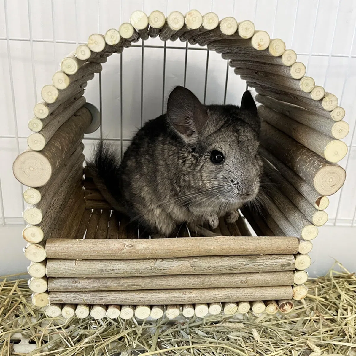 Nascondiglio per conigli in legno - rifugio per roditori in legno, nascondiglio rimovibile per digrignare i denti dei conigli | Casa per il riposo e il gioco degli animali per conigli, cincillà, crice