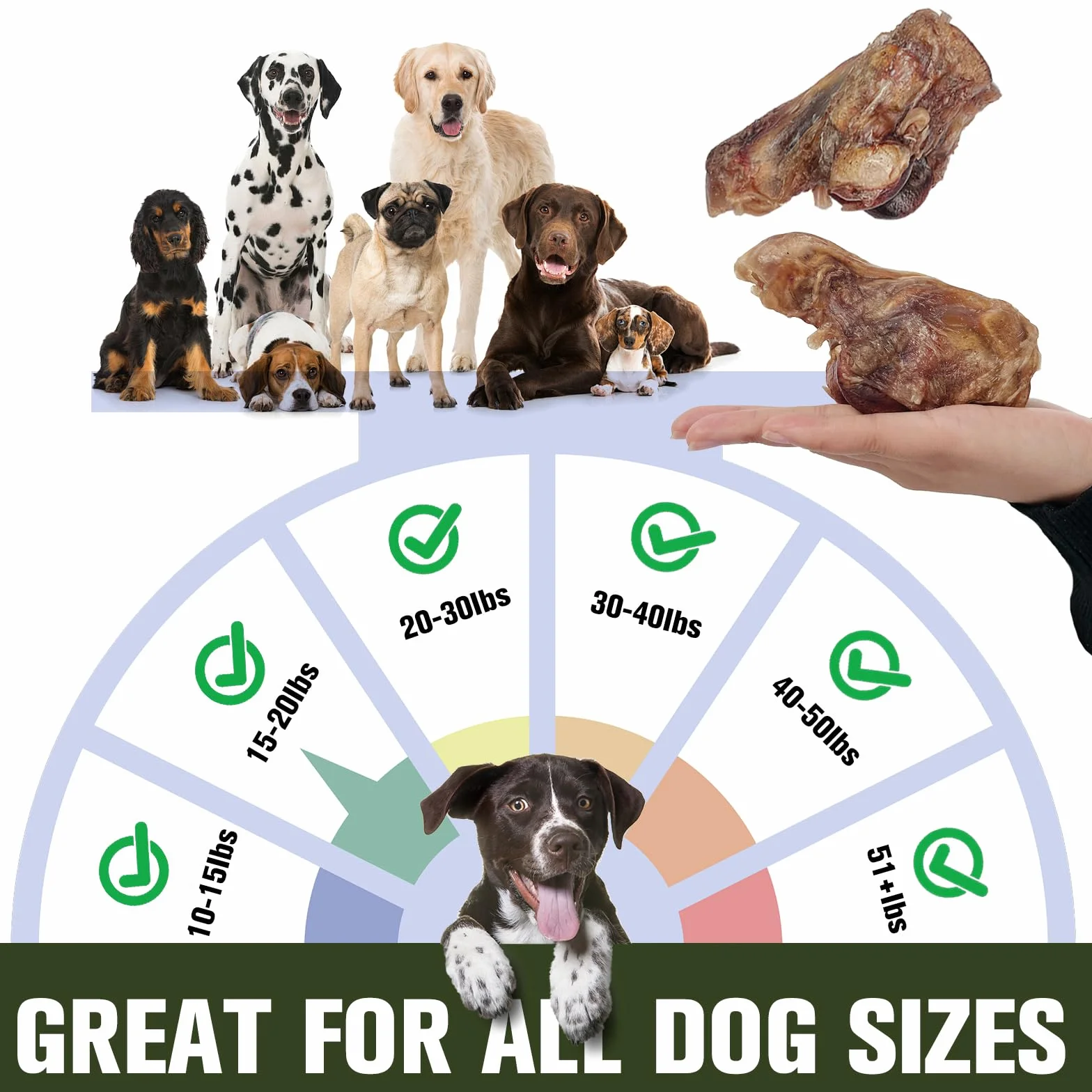 3 pezzi di ossa di polso di manzo nutrito con erba per cani adulti - Snack naturale monocomponente, snack di lunga durata per cani che masticano con forza, razze piccole e grandi (L2)