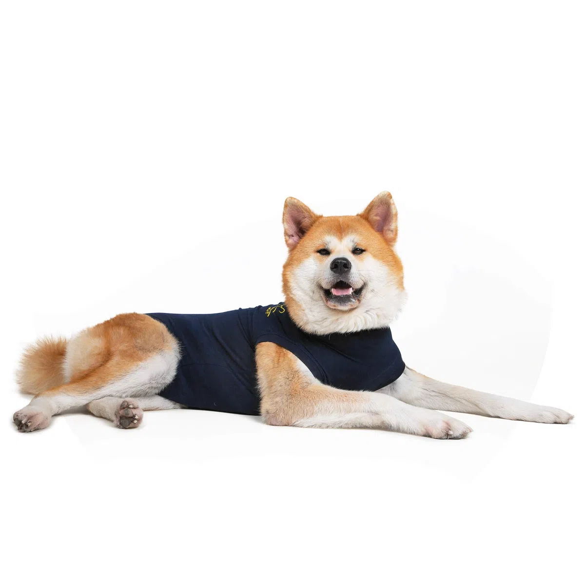 MPS Medical Pet Shirt, Cane, Blu, L