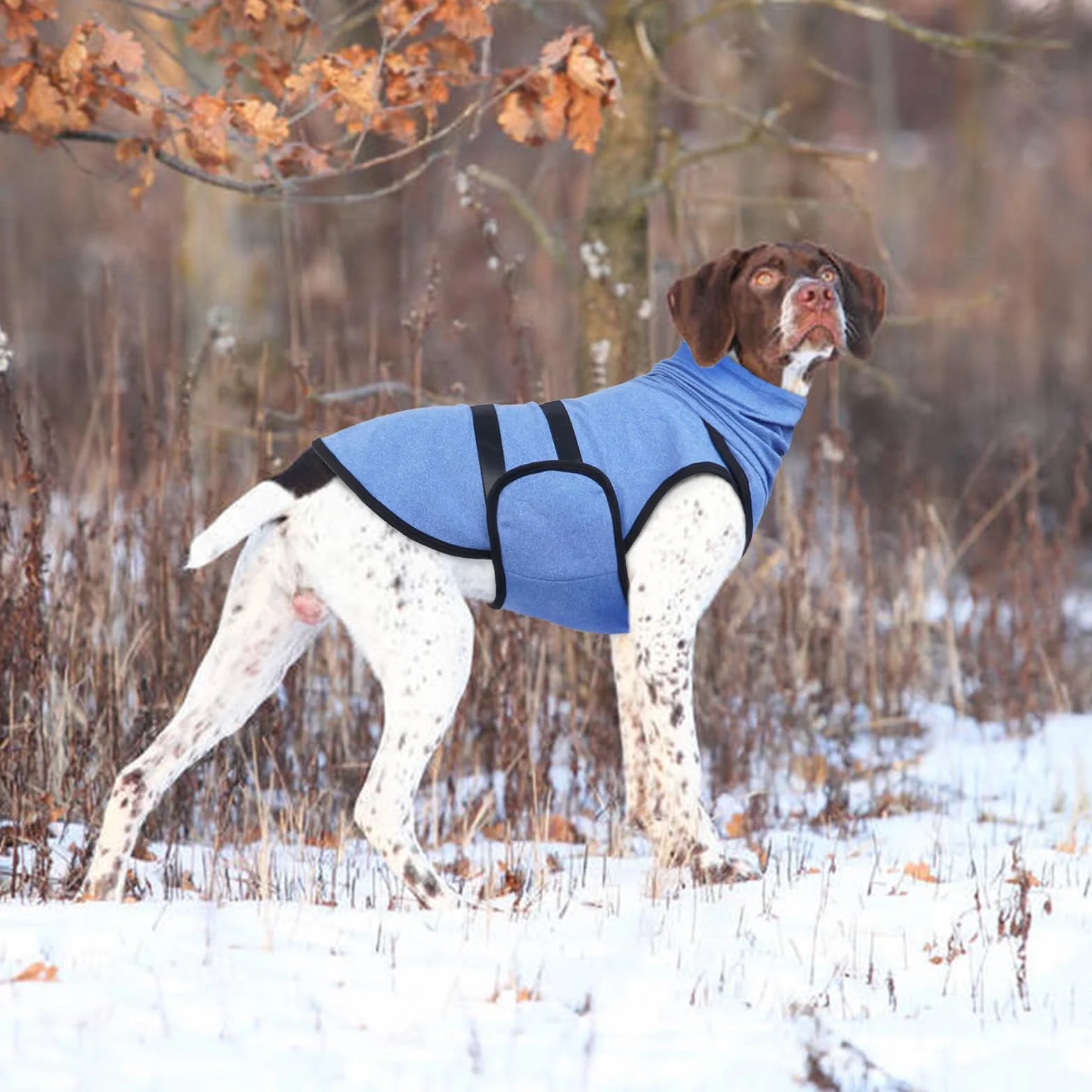 Giacca Ansiolitica Per Cani, Cappotto Anti-Ansia Per Cani Con Cappuccio Calmante, Maglione Per Cani Di Piccola Media E Grande Taglia, Cappotto Cane, Vestiti Per Cani