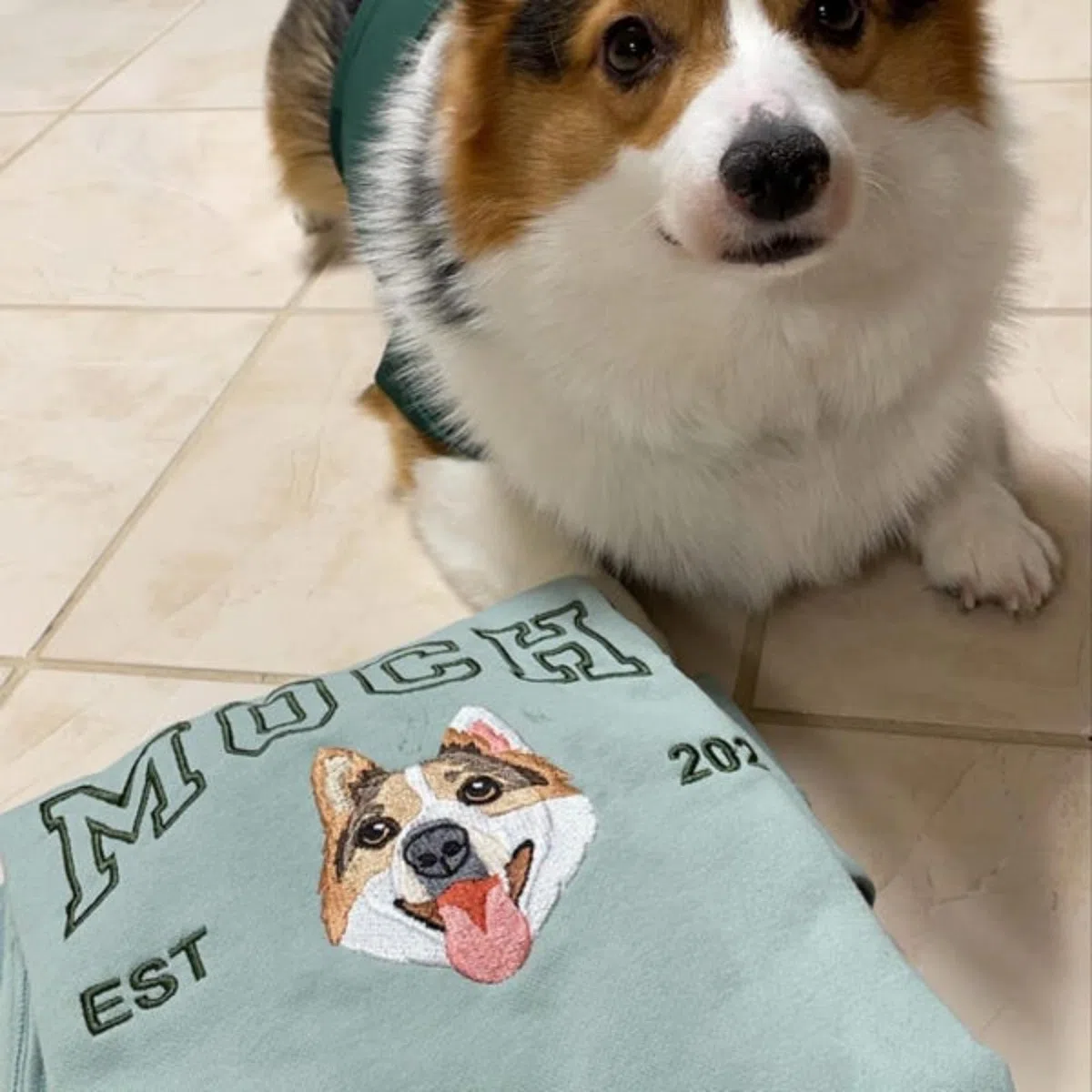 Felpa personalizzata cane con foto + nome ricamato cappuccio