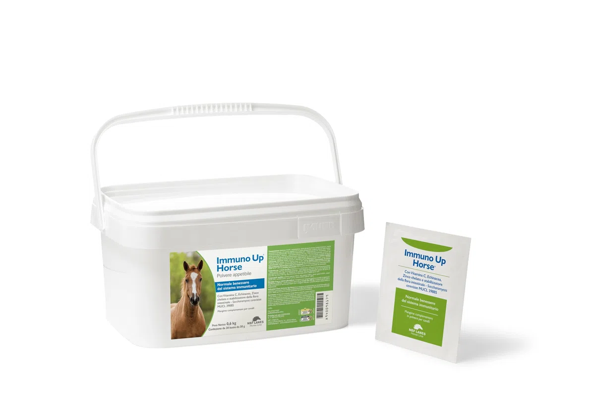 NBF Lanes | Immuno Up Horse, Mangime Complementare per Cavalli con Vitamina C, Echinacea, Zinco Chelato e Saccharomyces cerevisiae, Supporto Sistema Immunitario, 20 Buste da 30 g