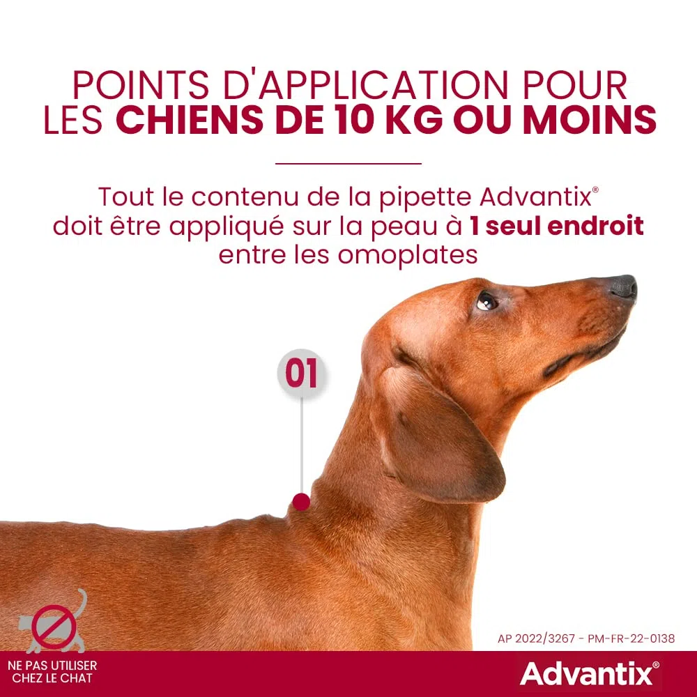 ADVANTIX 6 pipettes antiparasitaires - Pour tres petit chien de 1,5 a 4kg